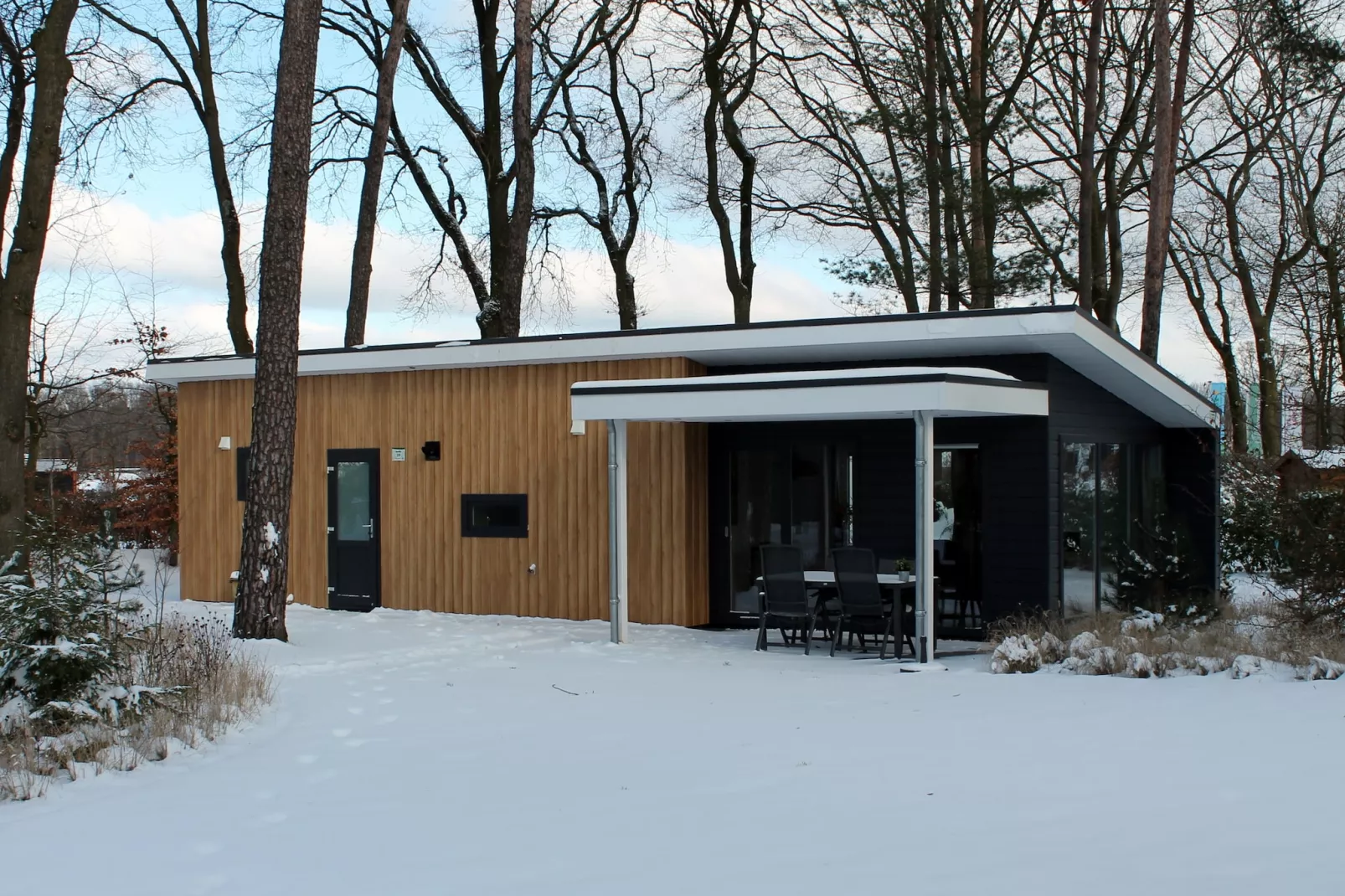 Bosvilla | 2 - 4 persons-Exterieur winter