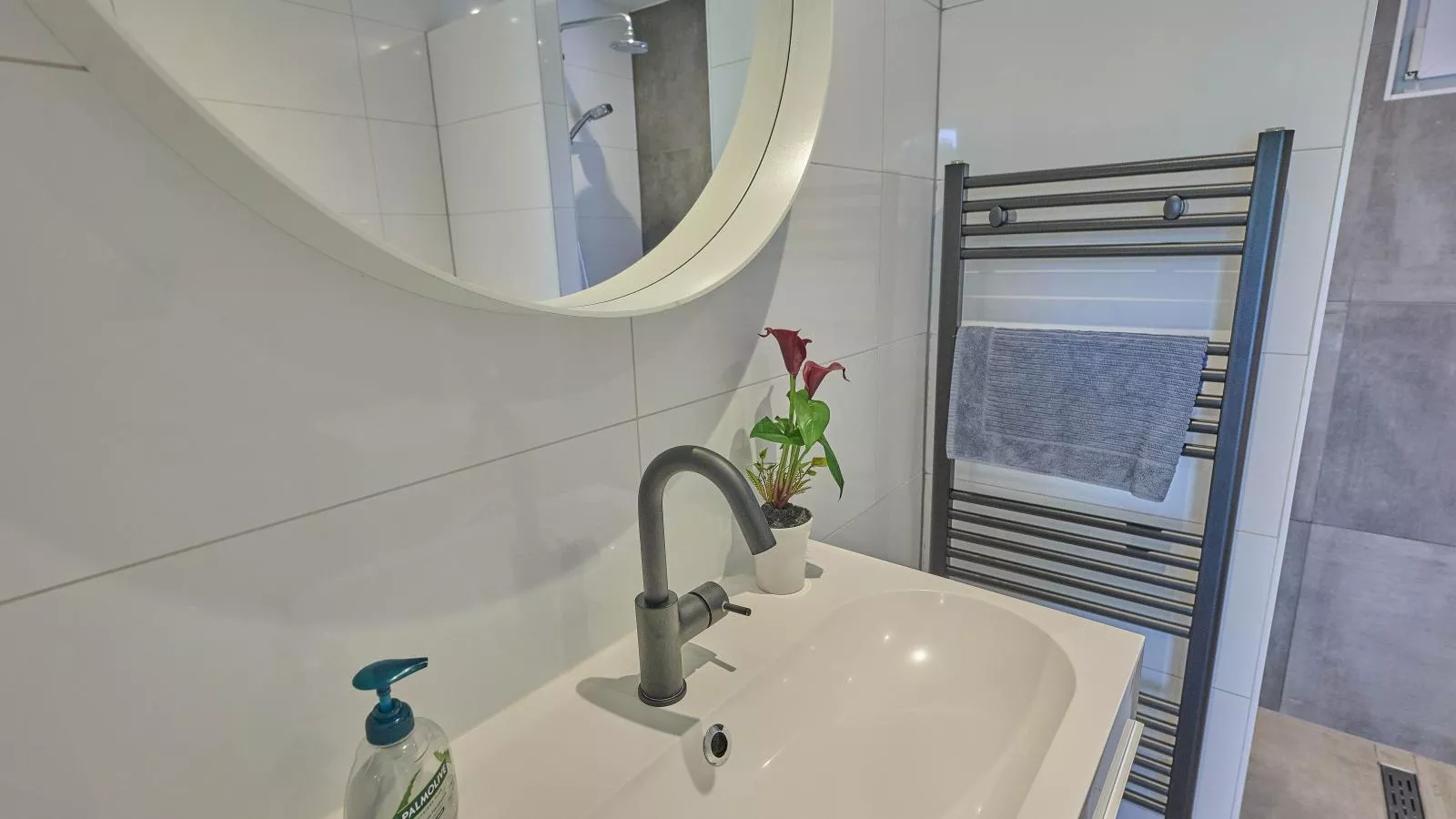 De Veluwse houtduif-Badkamer