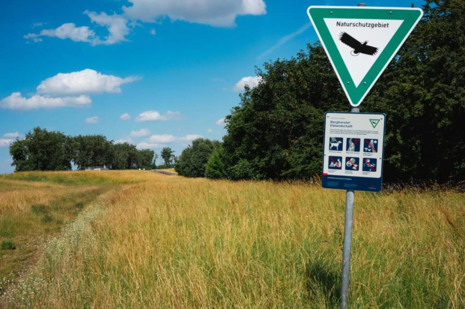 Schöne Ferienwohnung in Geesthacht-Gebieden zomer 20km