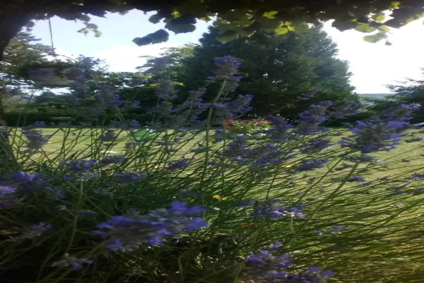 Casa di Lavanda-Gebieden zomer 20km