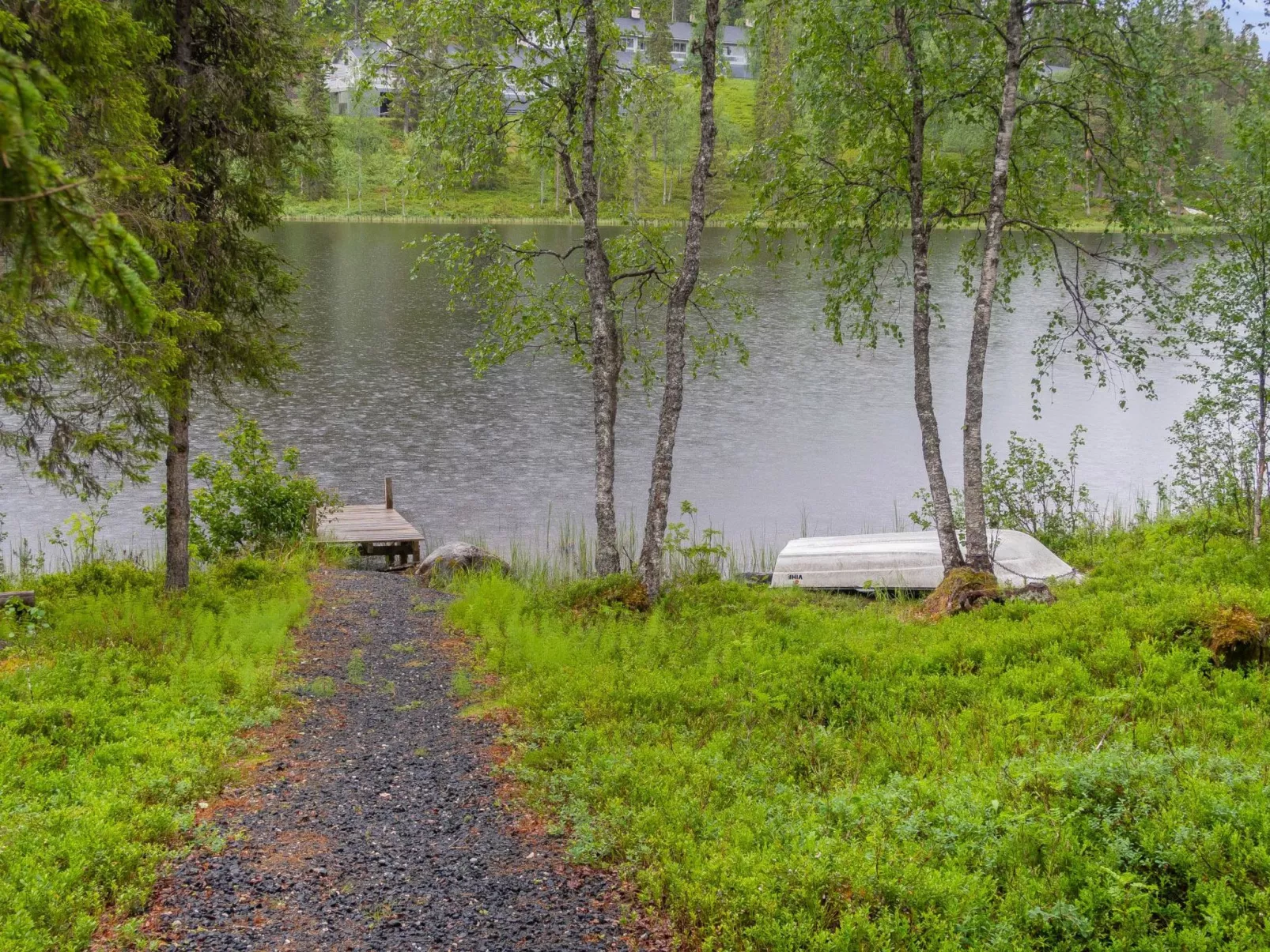 Muuttohaukka-Buiten