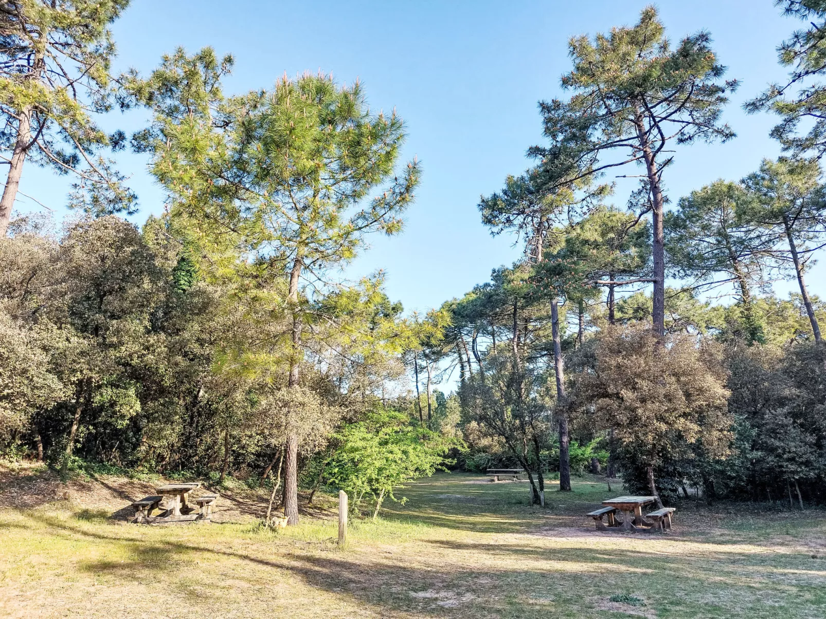Proche Océan, forêt et commerces-Buiten