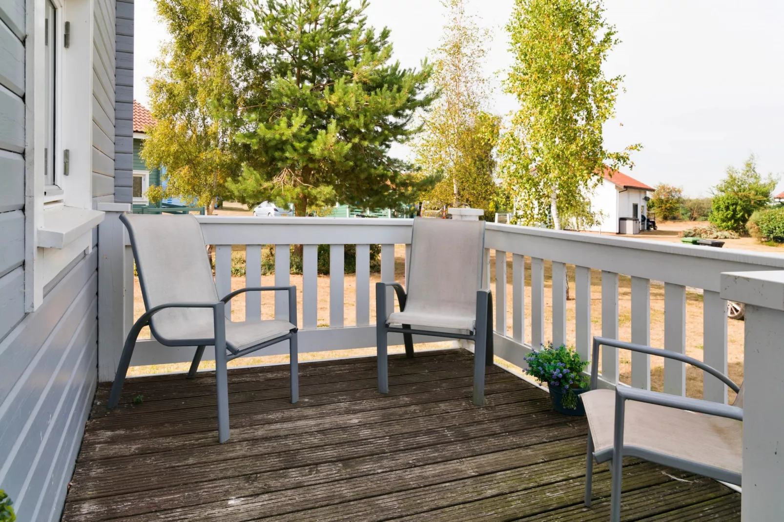 Puddleduck-Terras