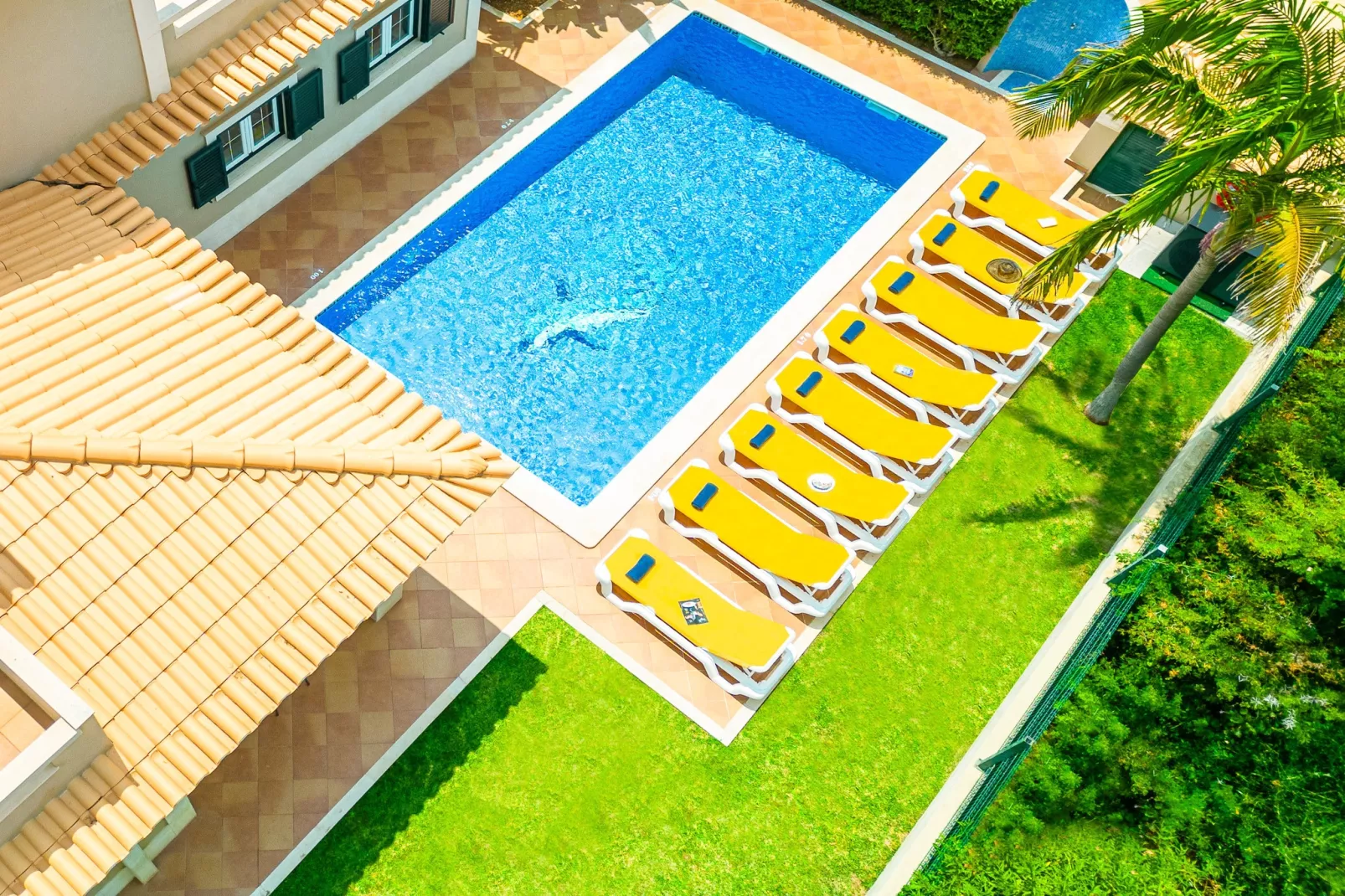 Villa Hawaii-Gebieden zomer 1km