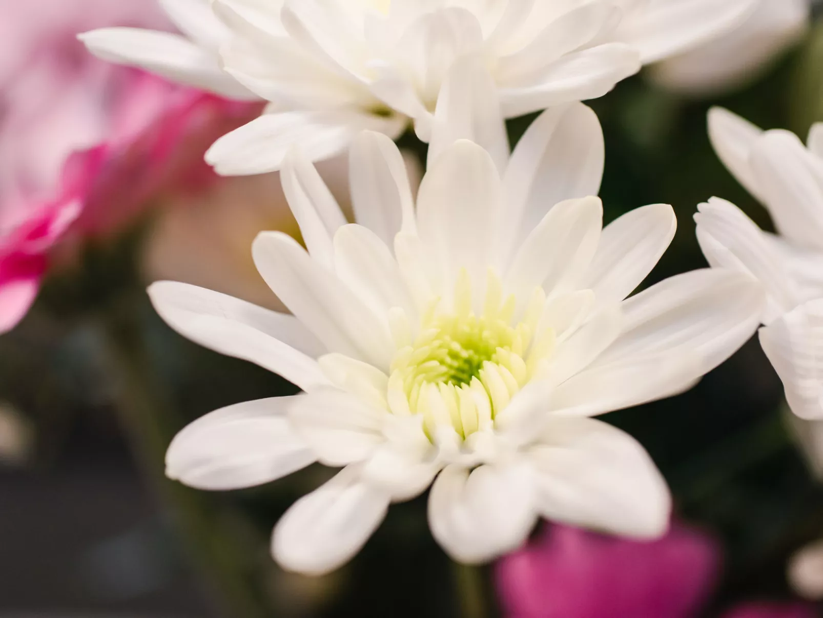 Harbour Nights 7D-Binnen