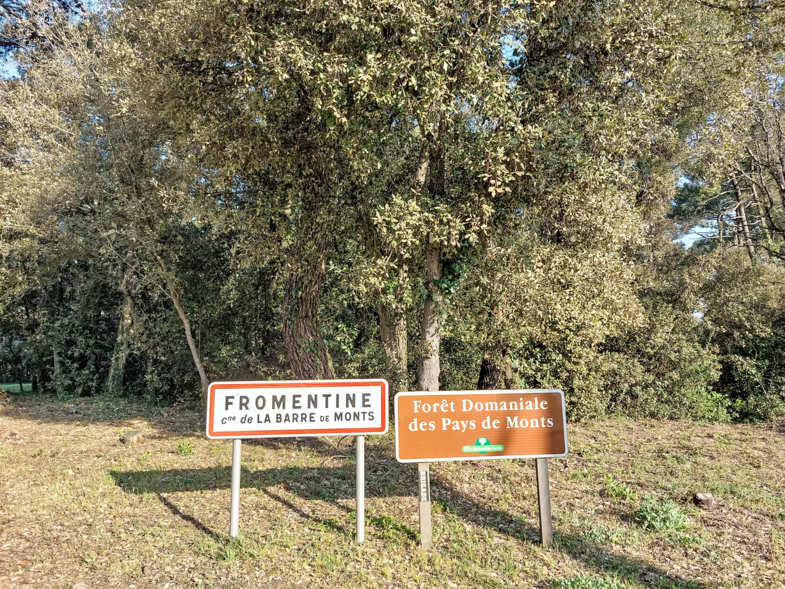 Proche Océan, forêt et commerces-Buiten