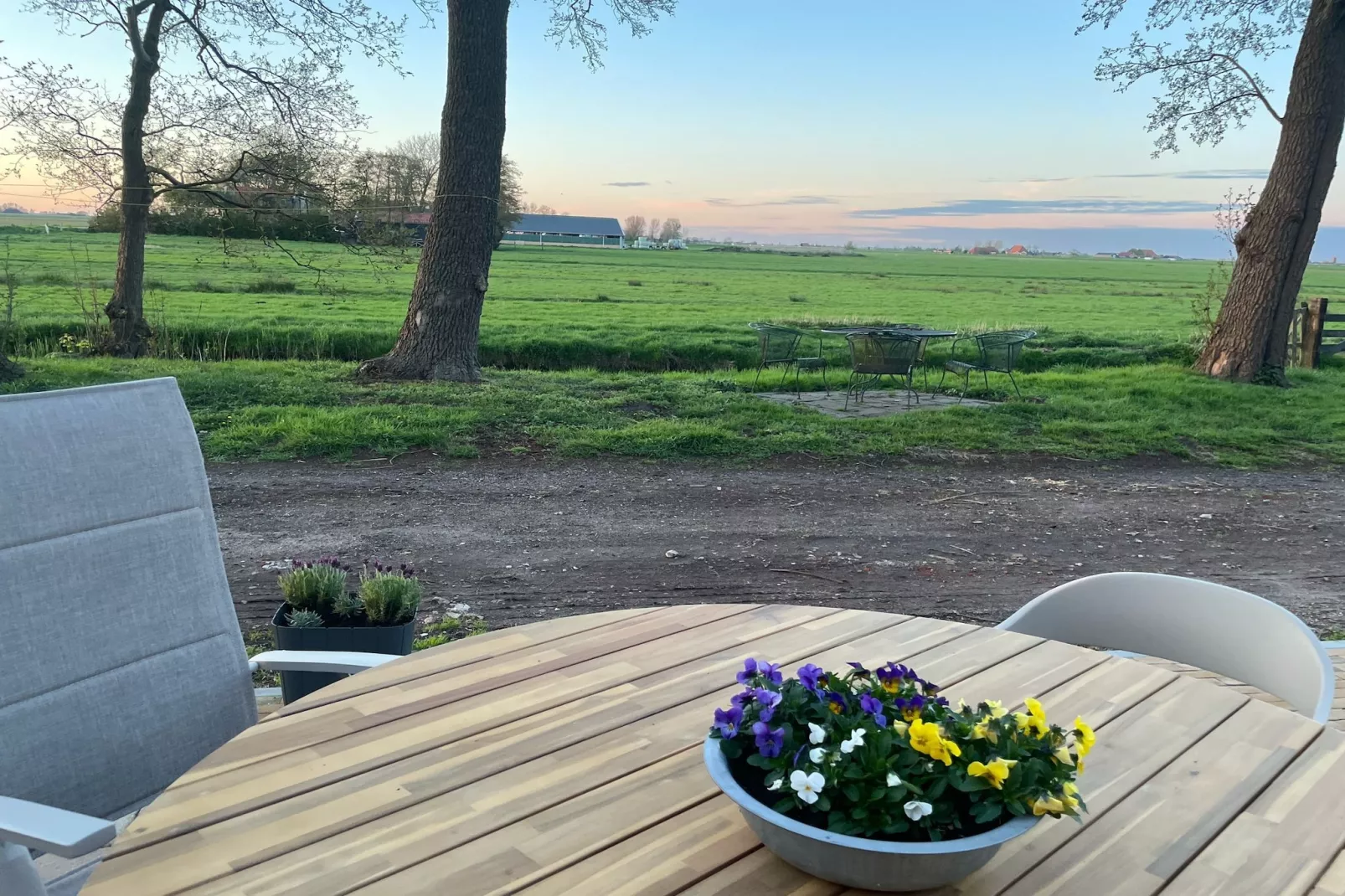 Berkenhof 8 personen-Terrasbalkon