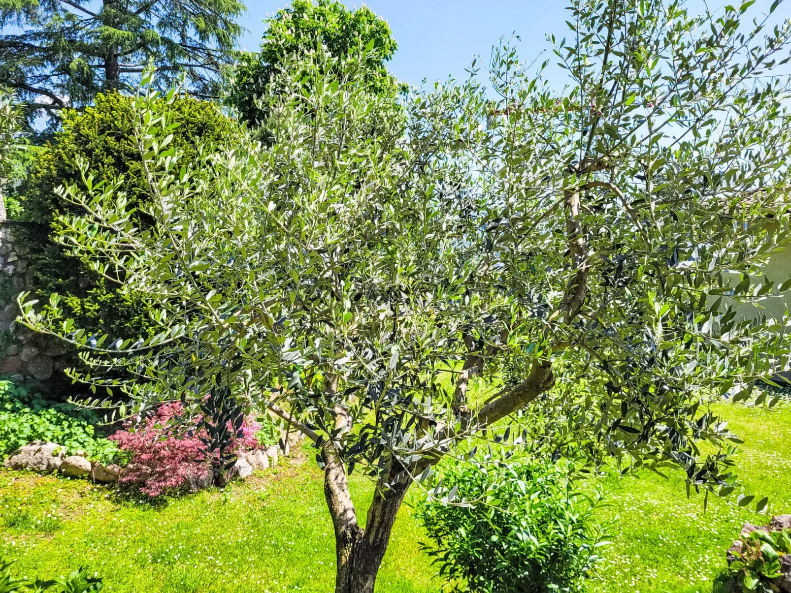 Ca`Sotselva-Buiten