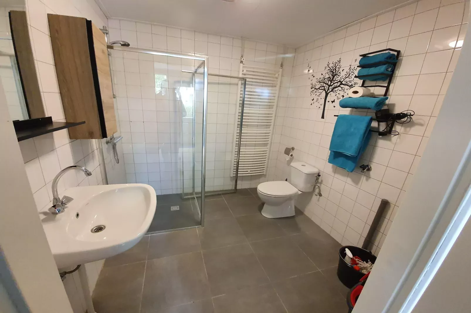 Elperhof Schoonloo 16B-Badkamer