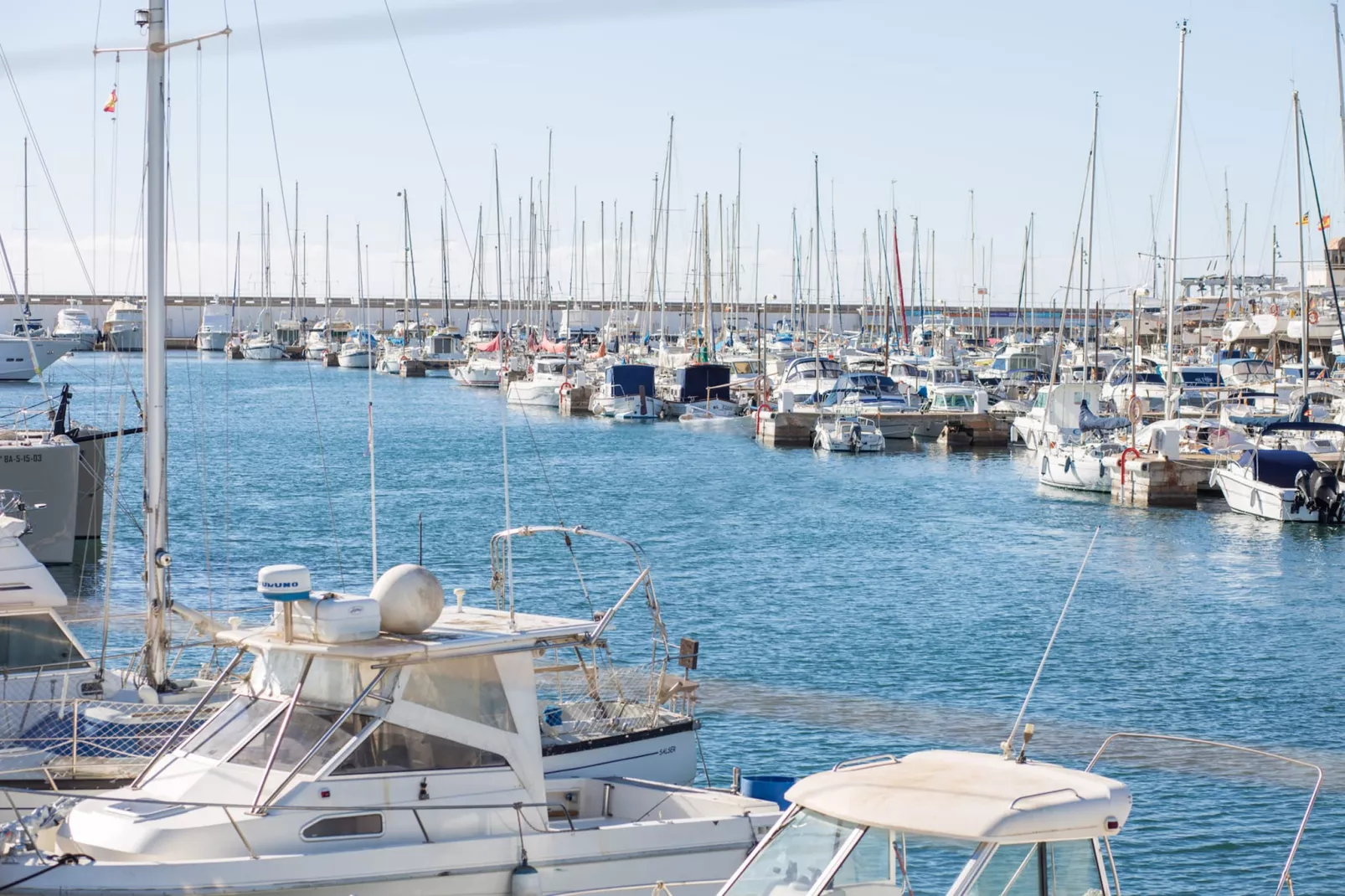 Torre Marina (alga Marina)-Gebieden zomer 5km