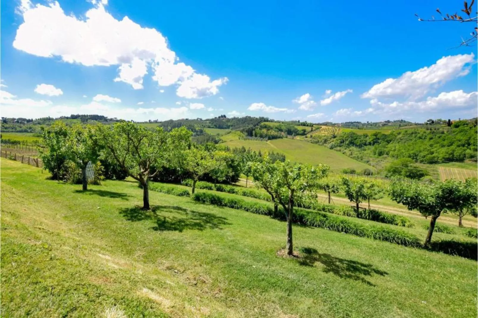 Casa di Lavanda-Gebieden zomer 20km
