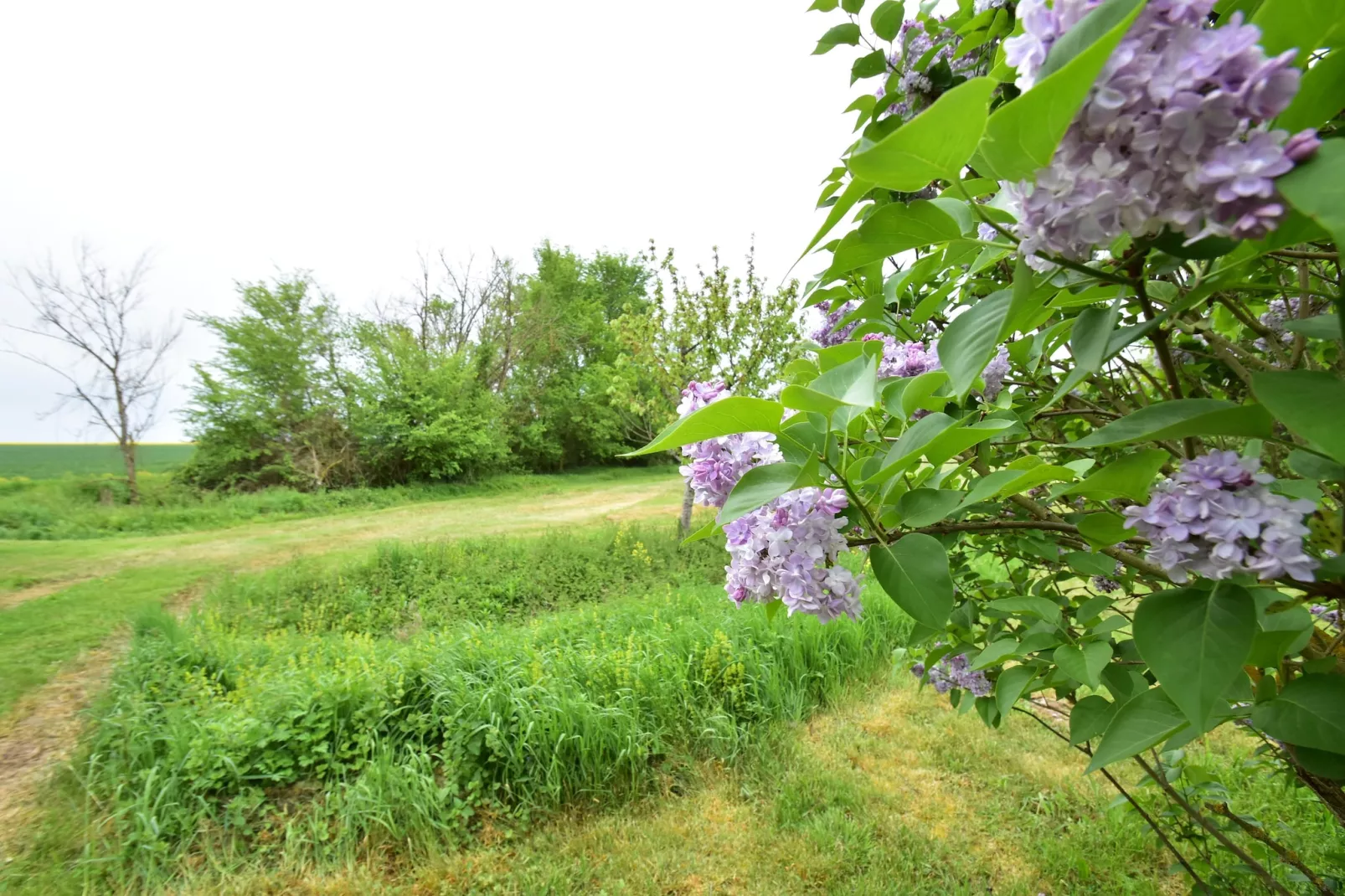 Gite 6 pers près de Châteauroux-Gebieden zomer 1km