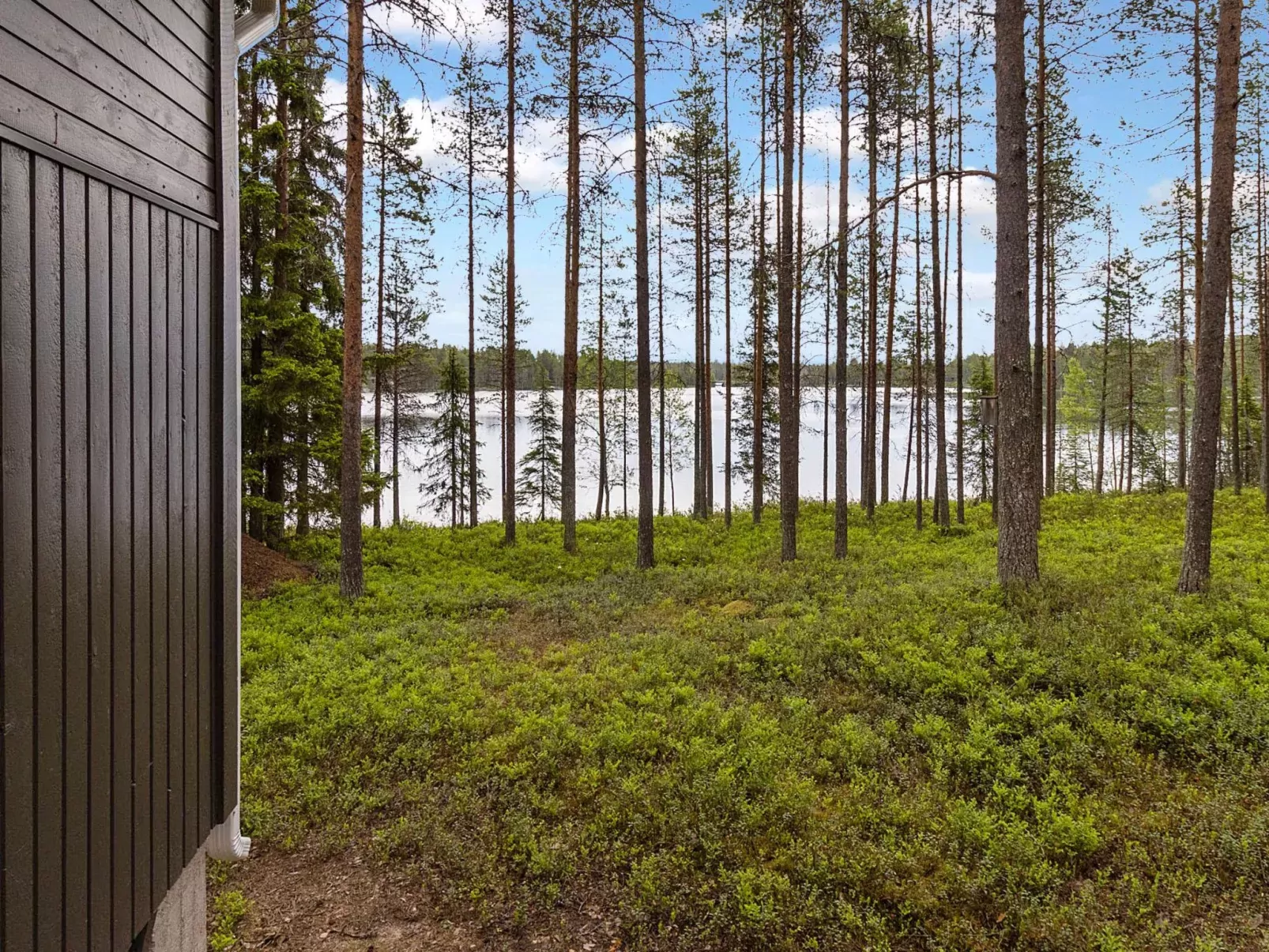 Alakitkanranta-Buiten