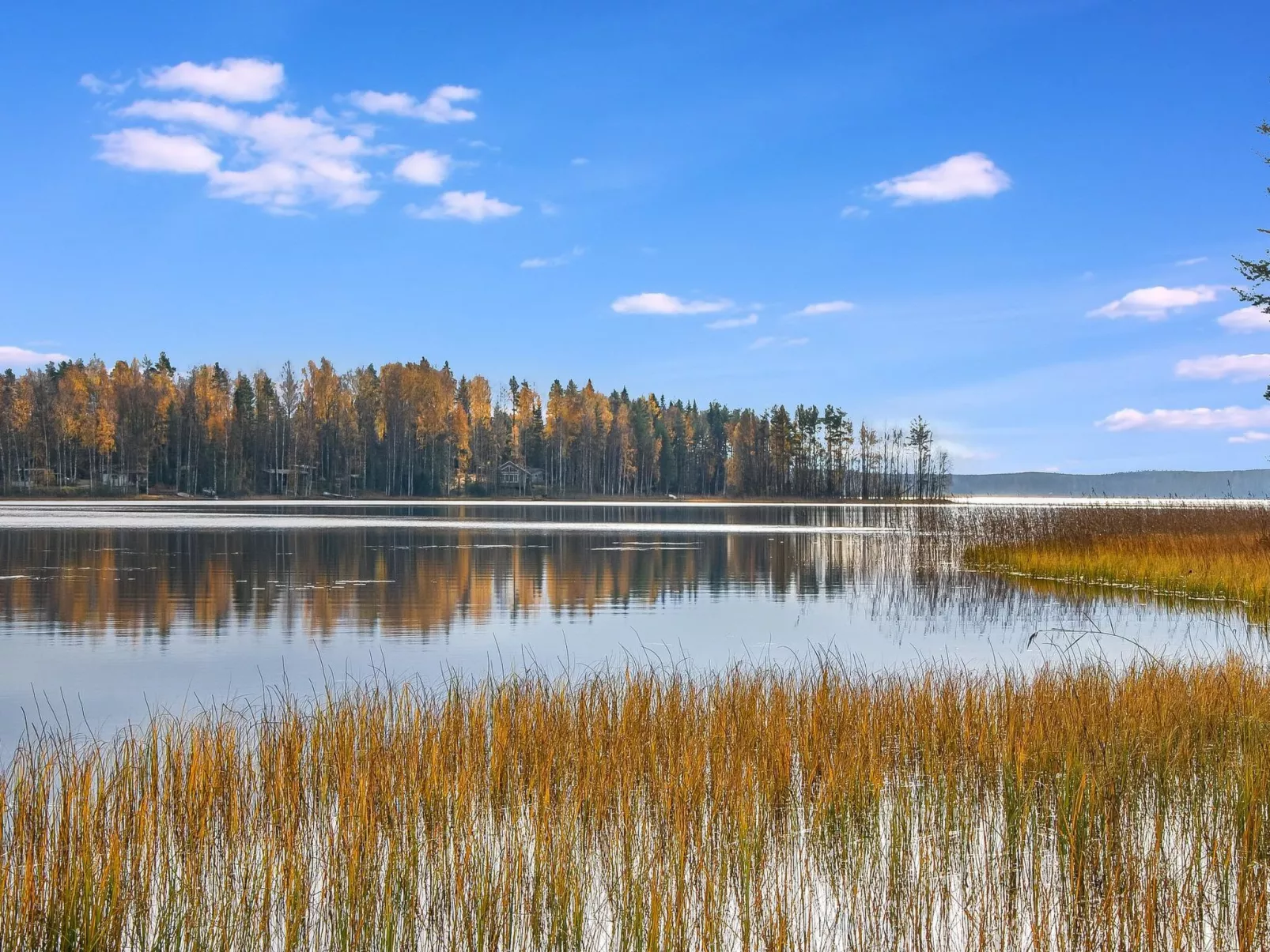 Mänty-linna-Buiten