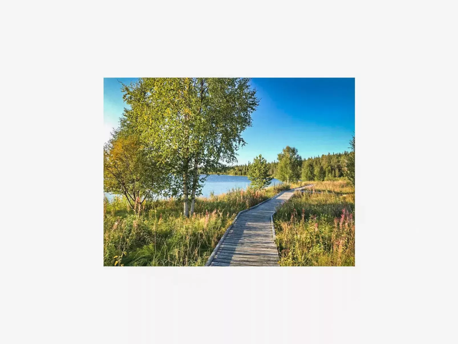 Örtsylä b-Buiten