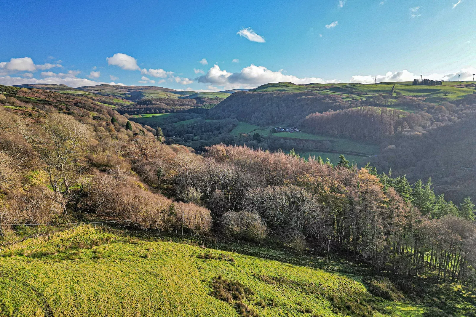 Eithinog-Buitenlucht