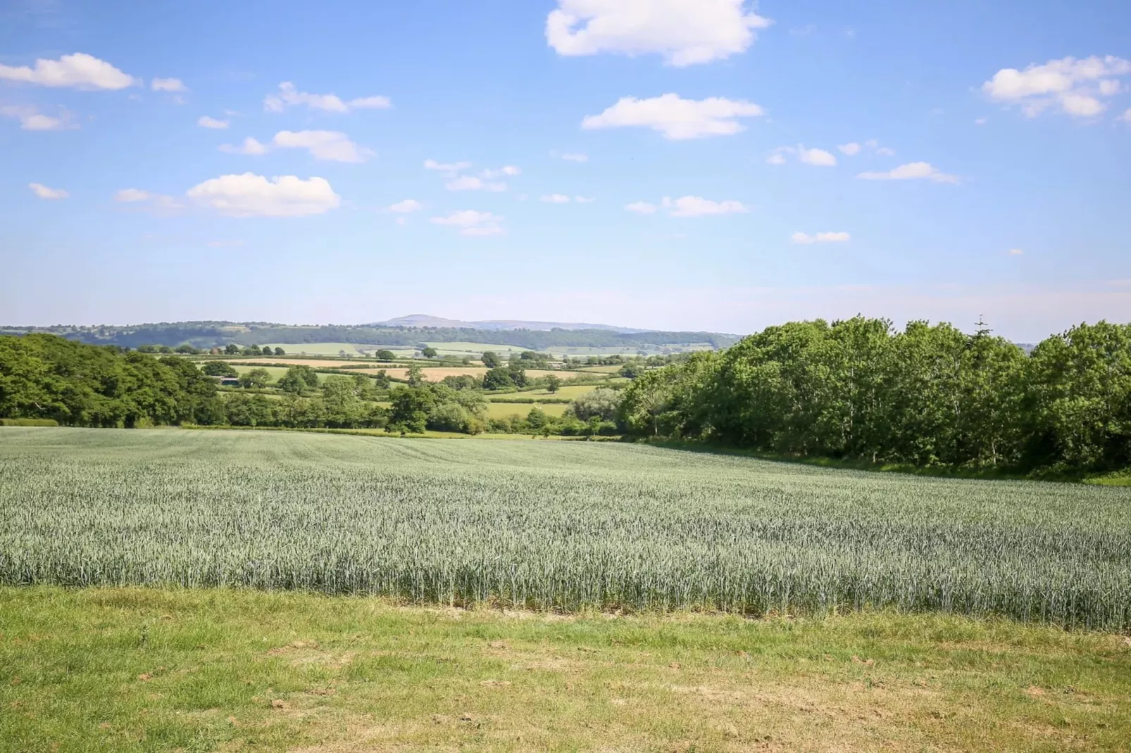 The Onibury-Buitenlucht