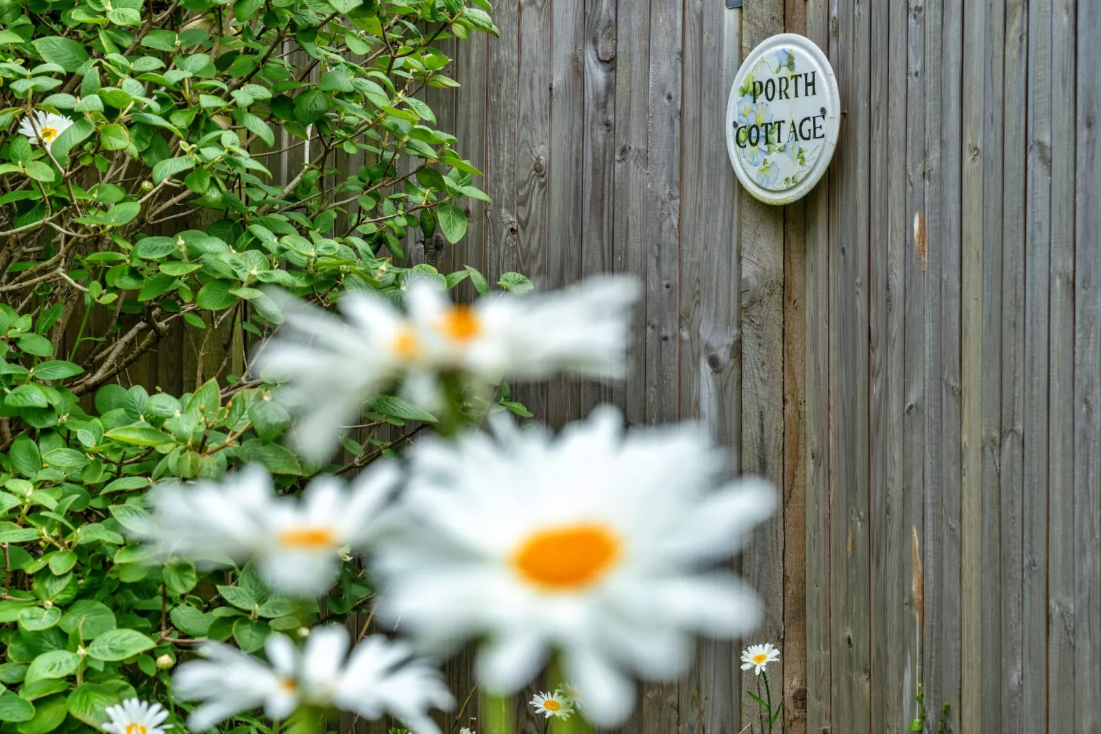 Porth Cottage-Tuinen zomer