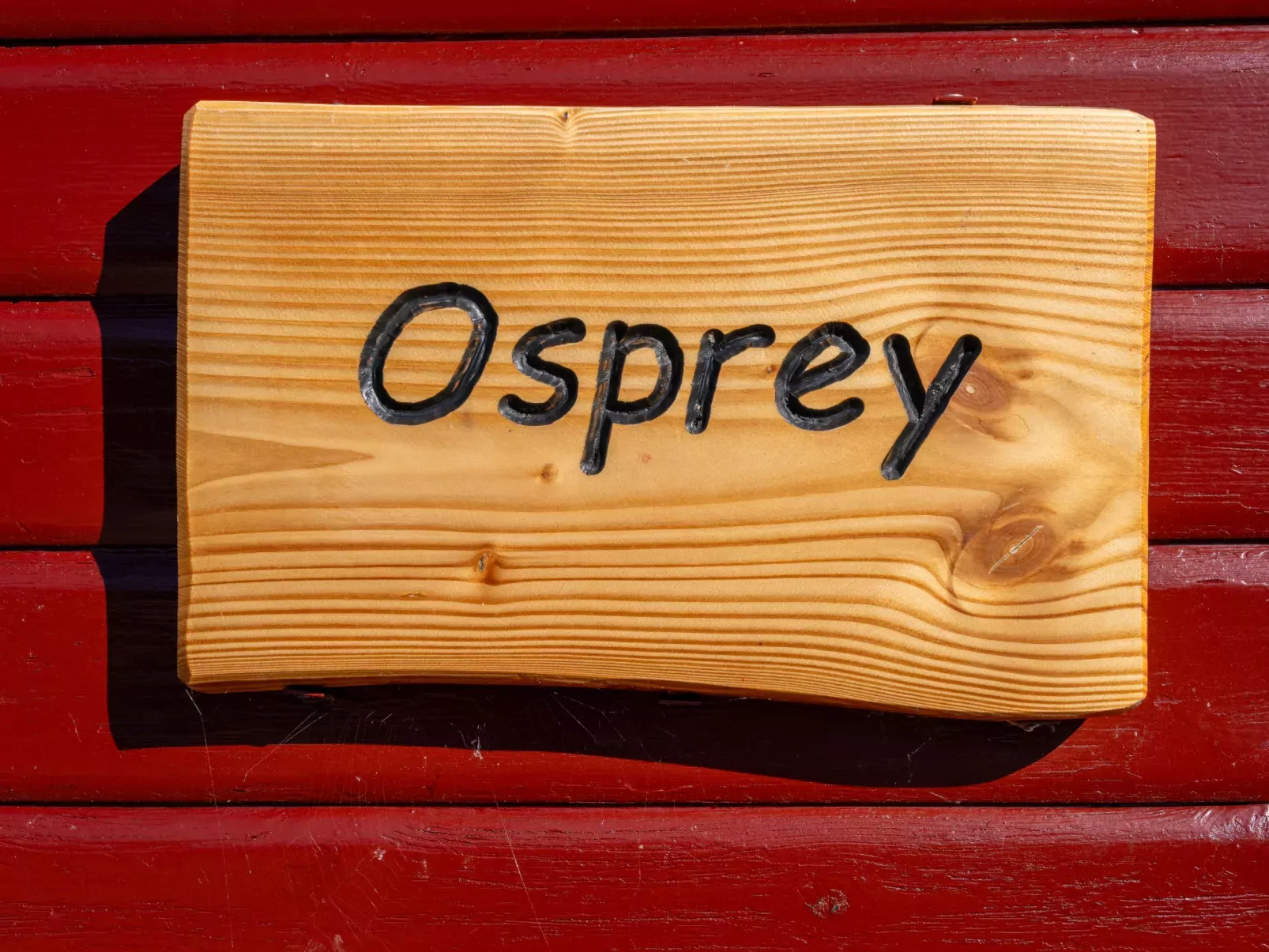Osprey Lodge-Buiten
