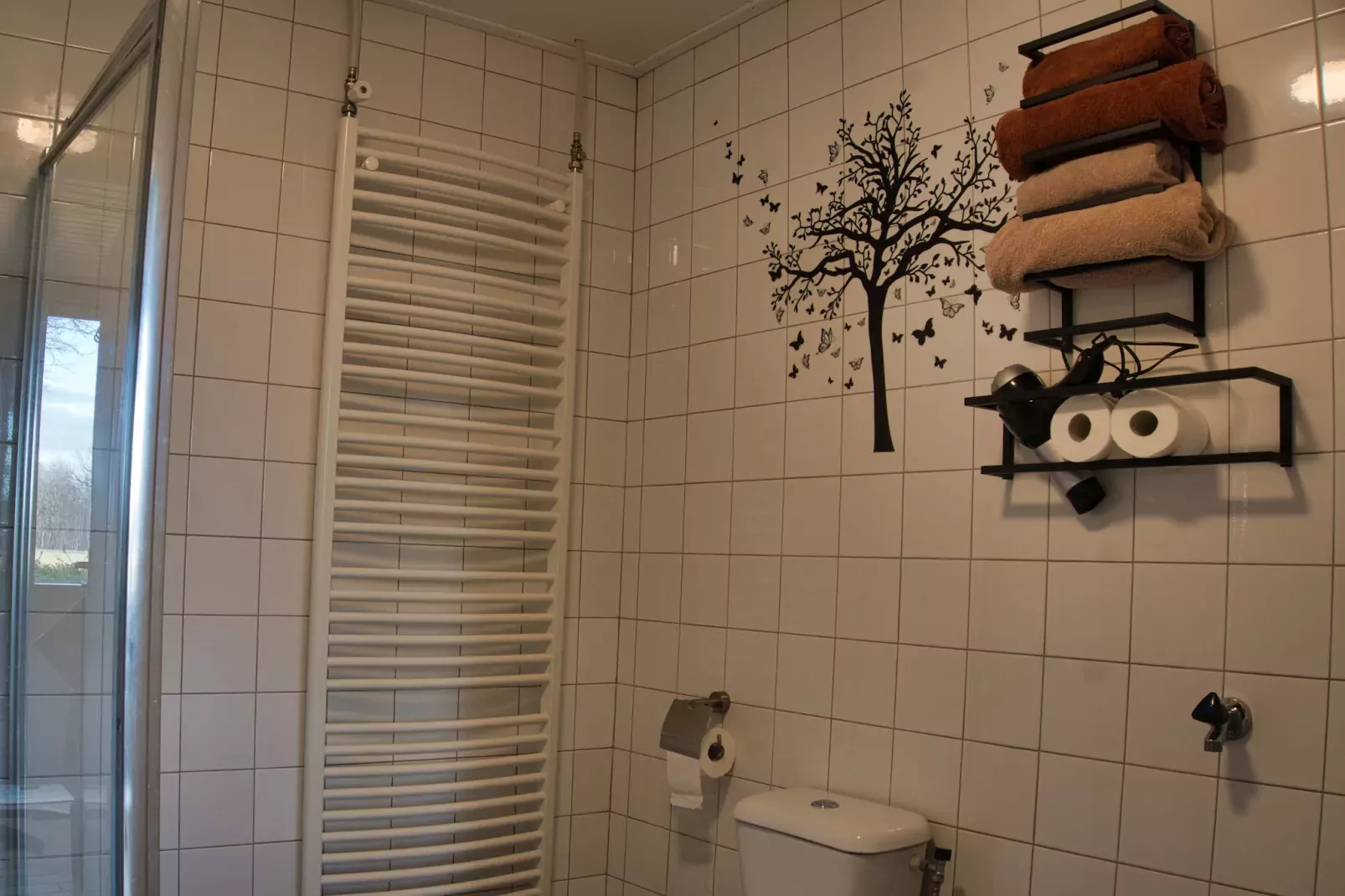 Elperhof Schoonloo 16B-Badkamer