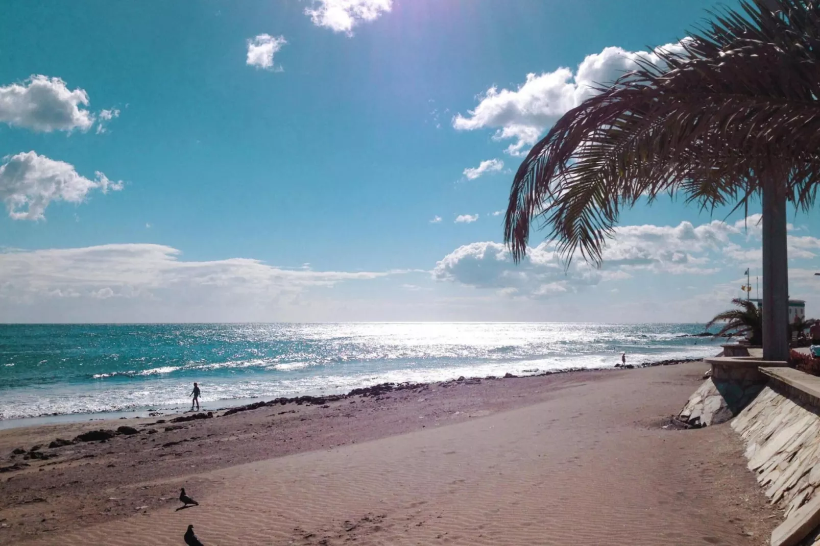 Apartamento de Playa Siesta 21 San Augustin - 2 Pax-Gebieden zomer 5km