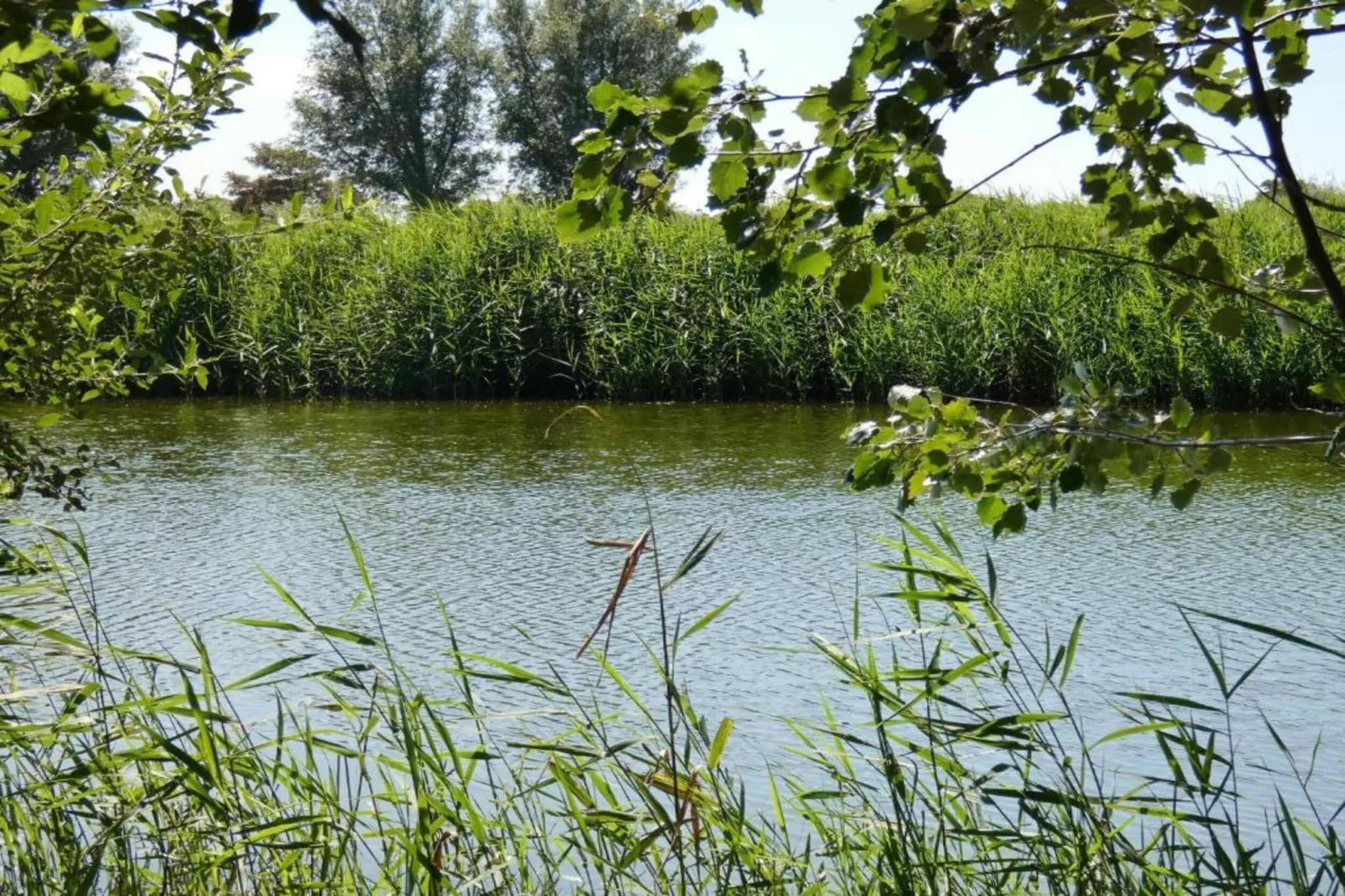 Het Platte Putje - Huisdier - nr 2-Gebieden zomer 20km