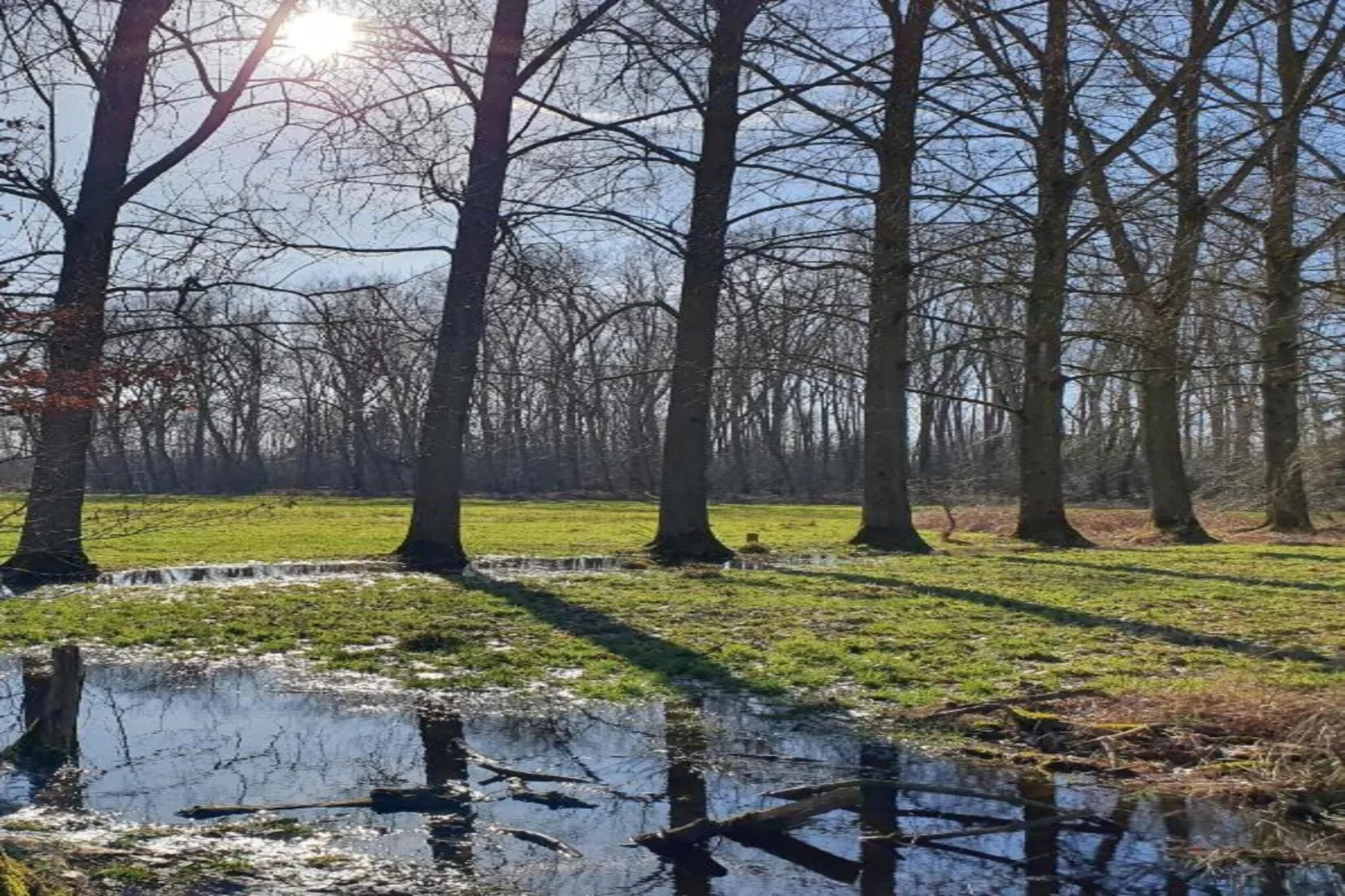 De woelige stal-Gebieden zomer 20km