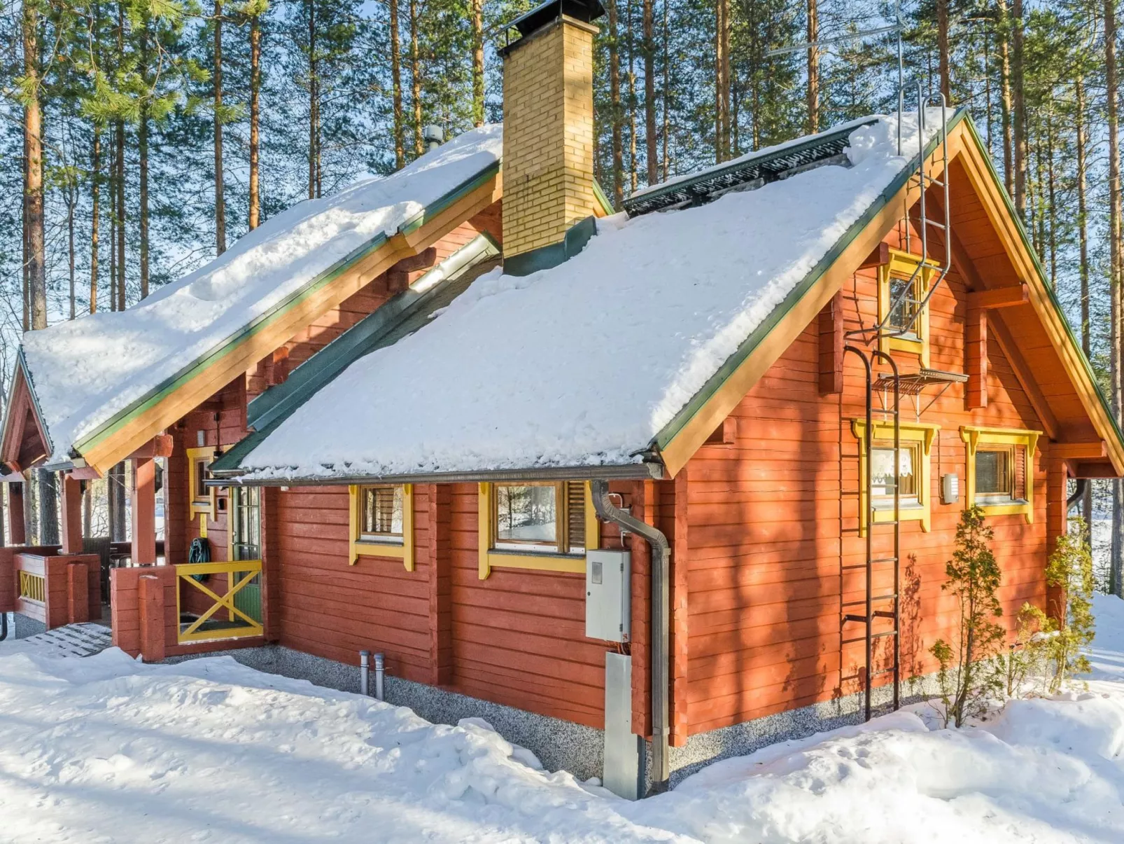 Villa käpytikka-Buiten
