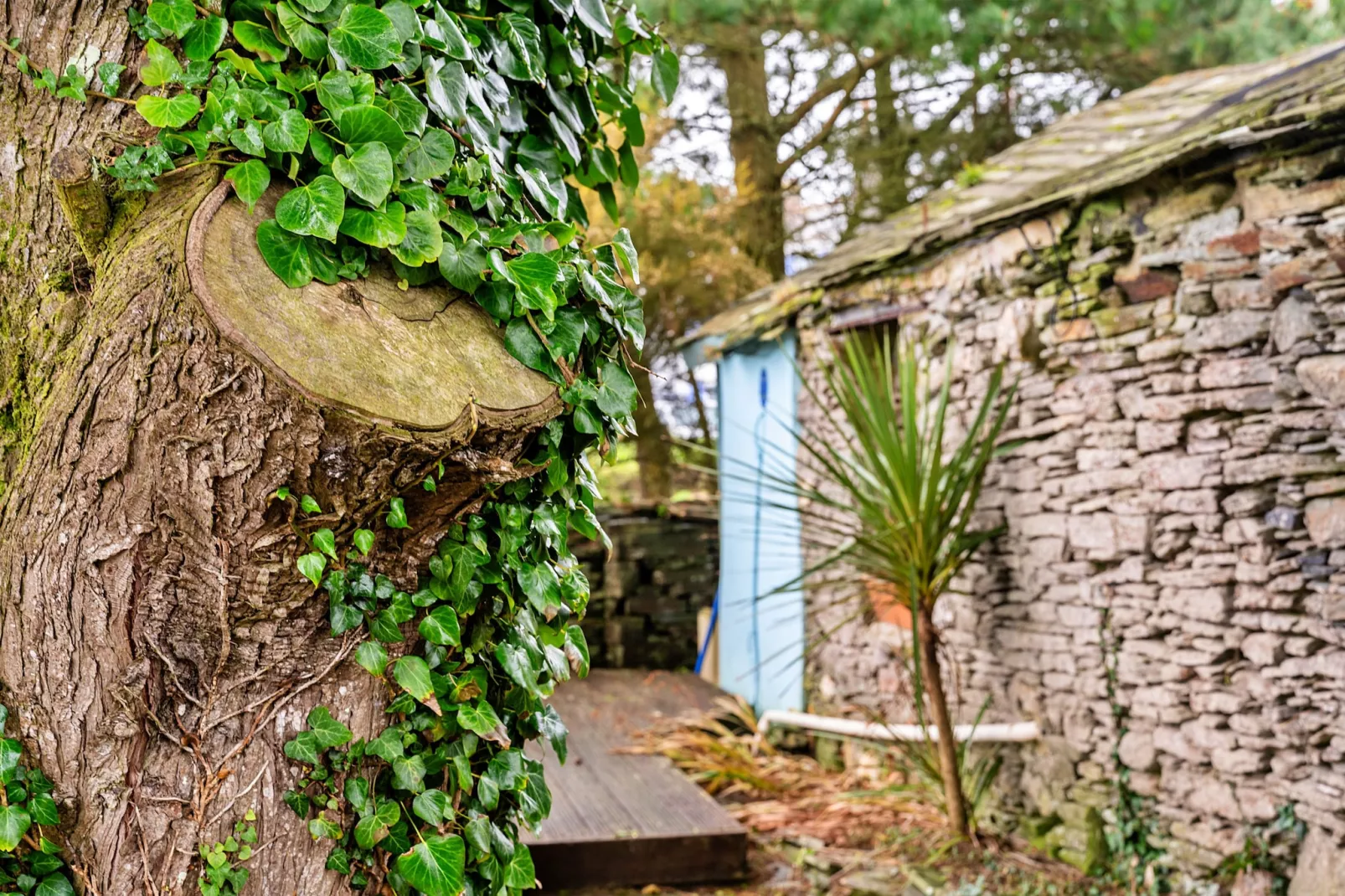 Fisherman's Cottage-Sfeer