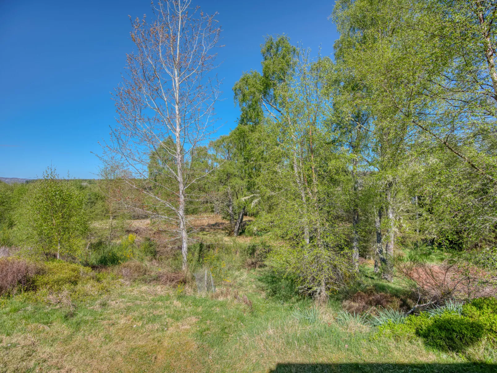 Rowan Chalet-Buiten