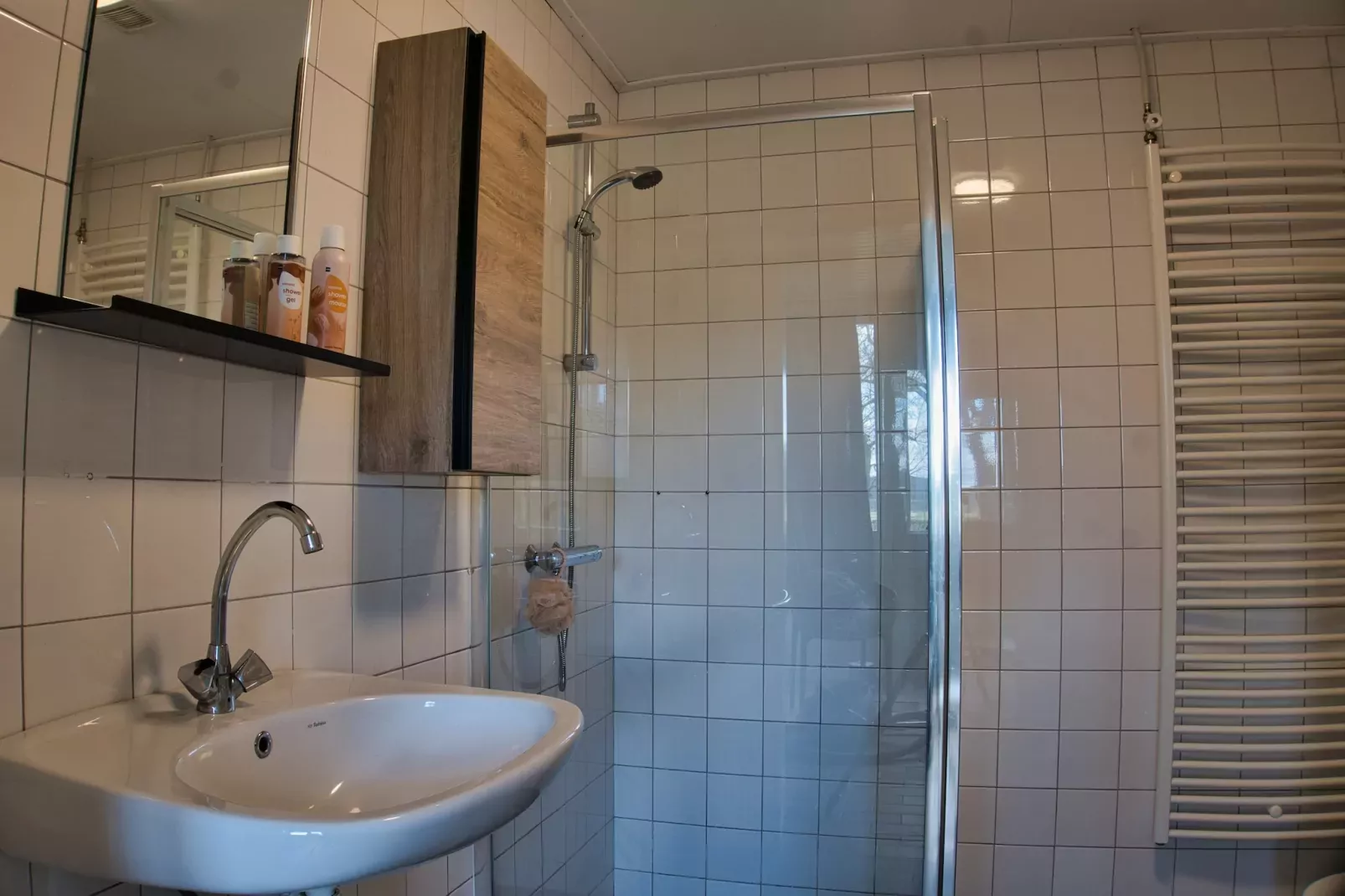 Elperhof Schoonloo 16B-Badkamer