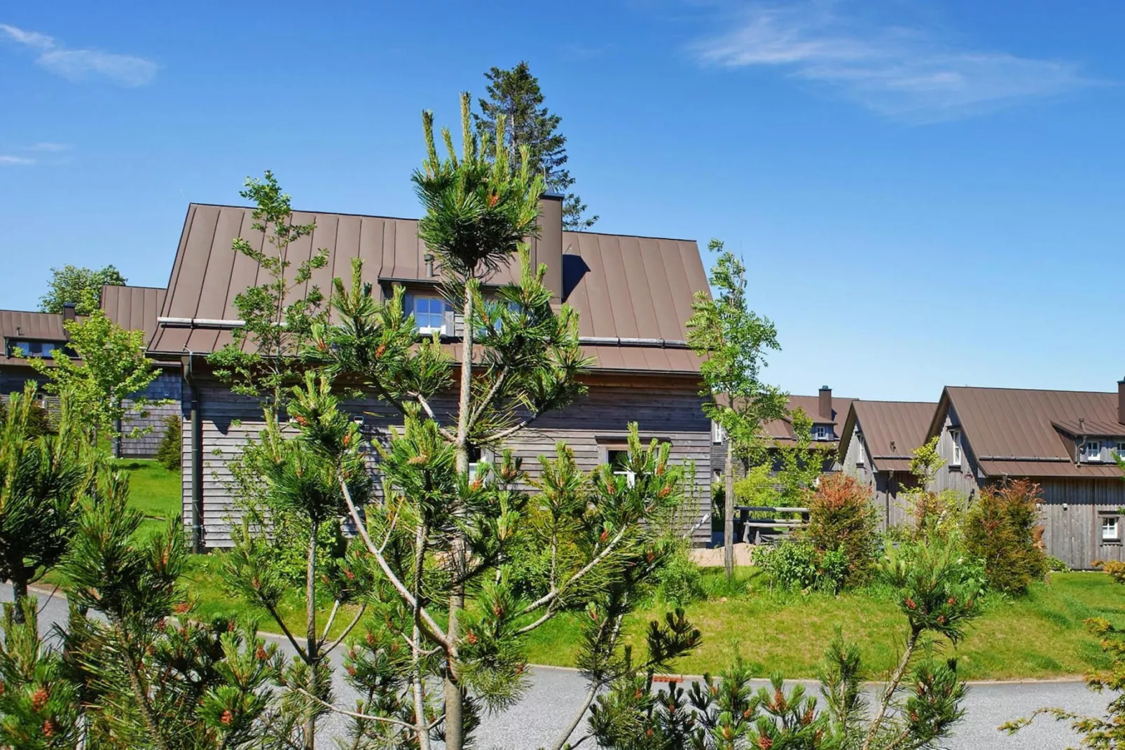 Ferienhaus Typ Premium Lodge Plus 4 Personen-Gebieden zomer 1km