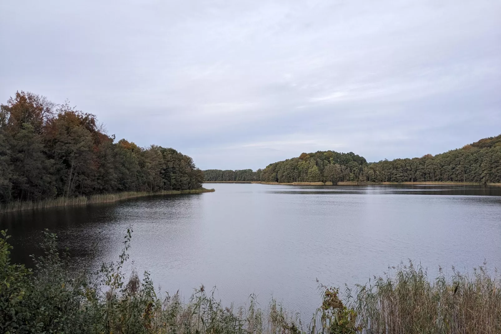 Ferienwohnung Seeblick-Gebieden zomer 1km