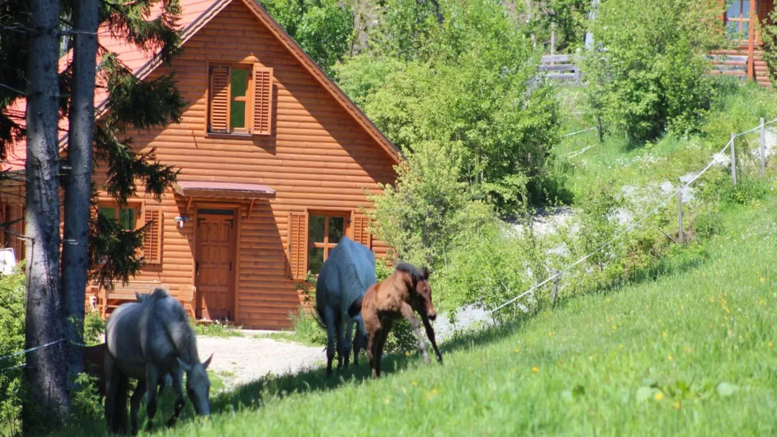 Sternenchalet-Uitzicht zomer