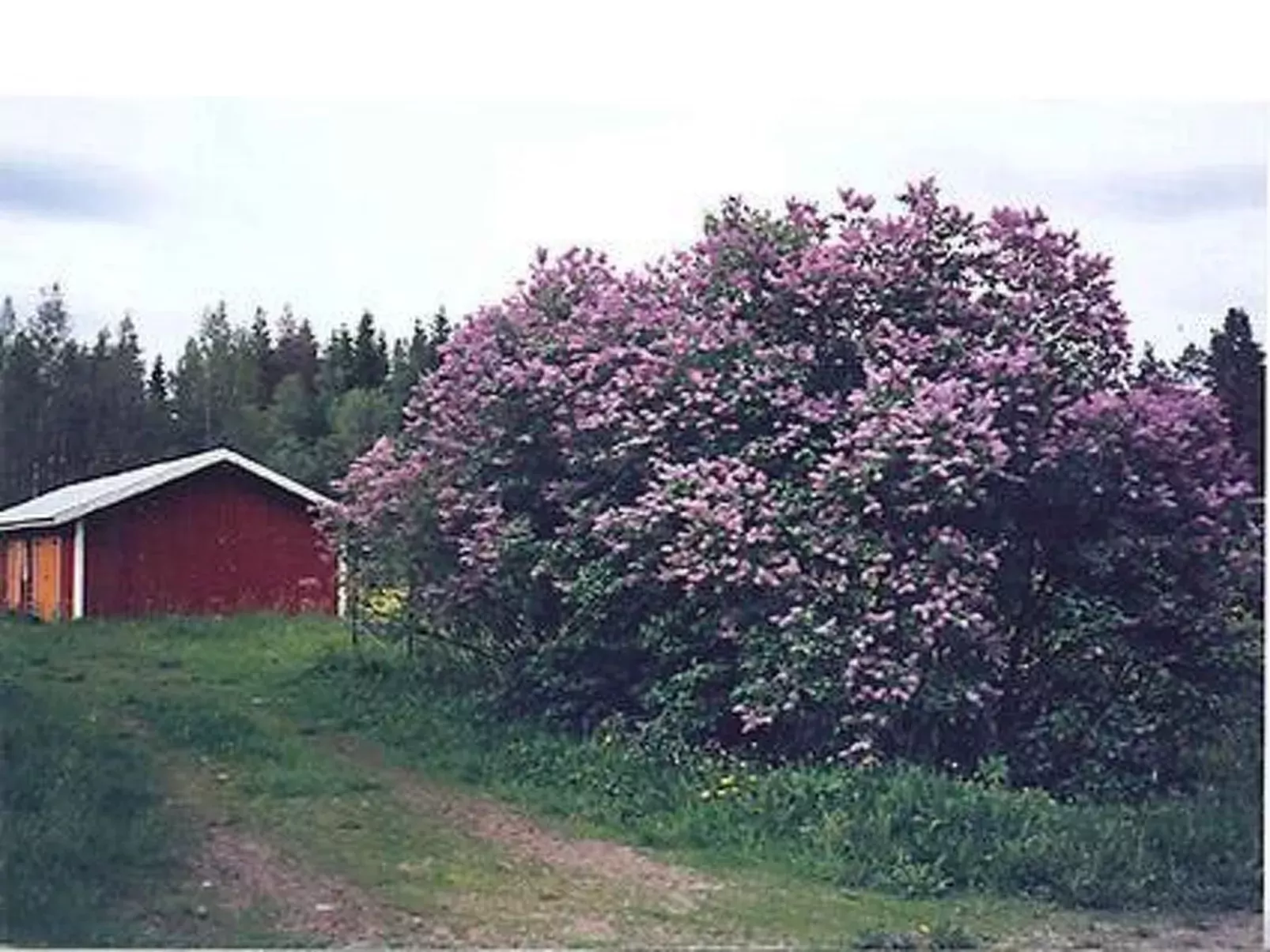 Kartanomäki-Buiten