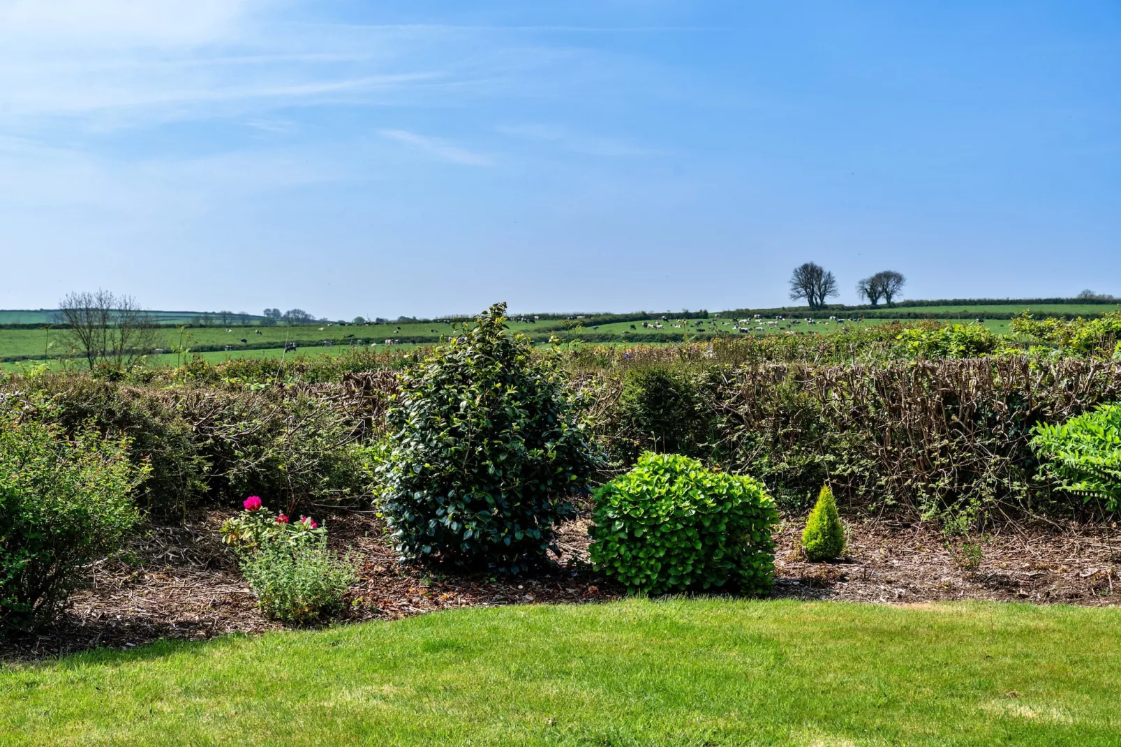 Cutkieve Farm Cottage-Tuinen zomer