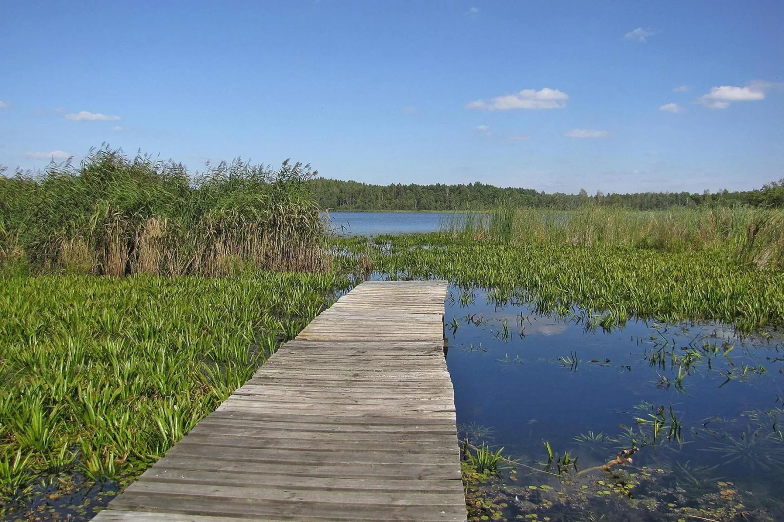 Holiday home Wilkasy-Gebieden zomer 5km