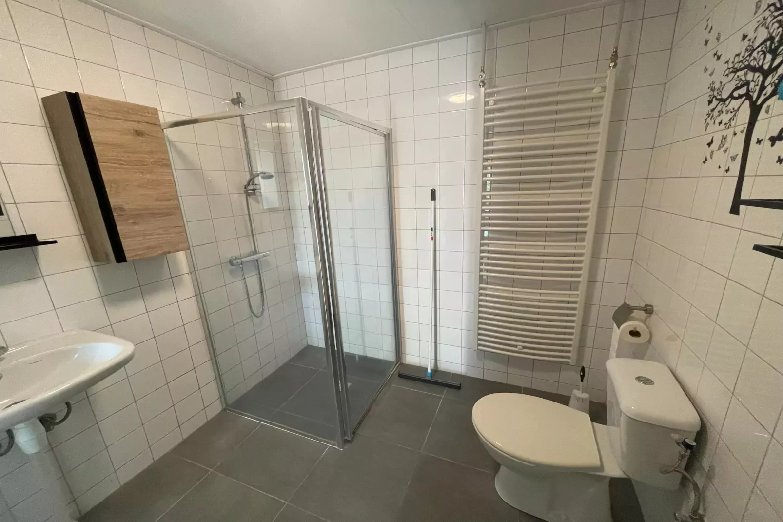 Elperhof Schoonloo 16B-Badkamer