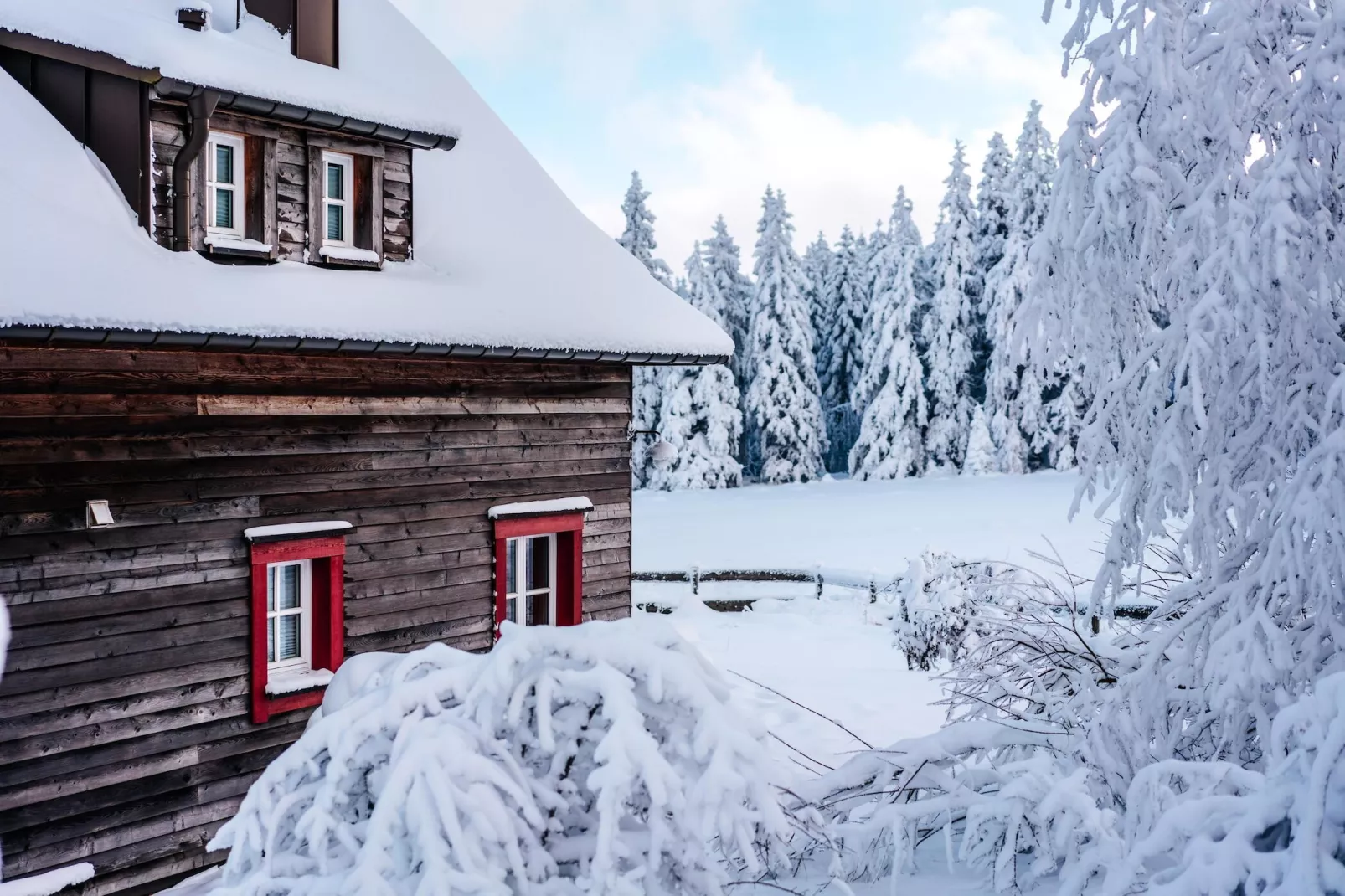 Ferienhaus Typ Premium Lodge Plus 4 Personen-Gebied winter 1km