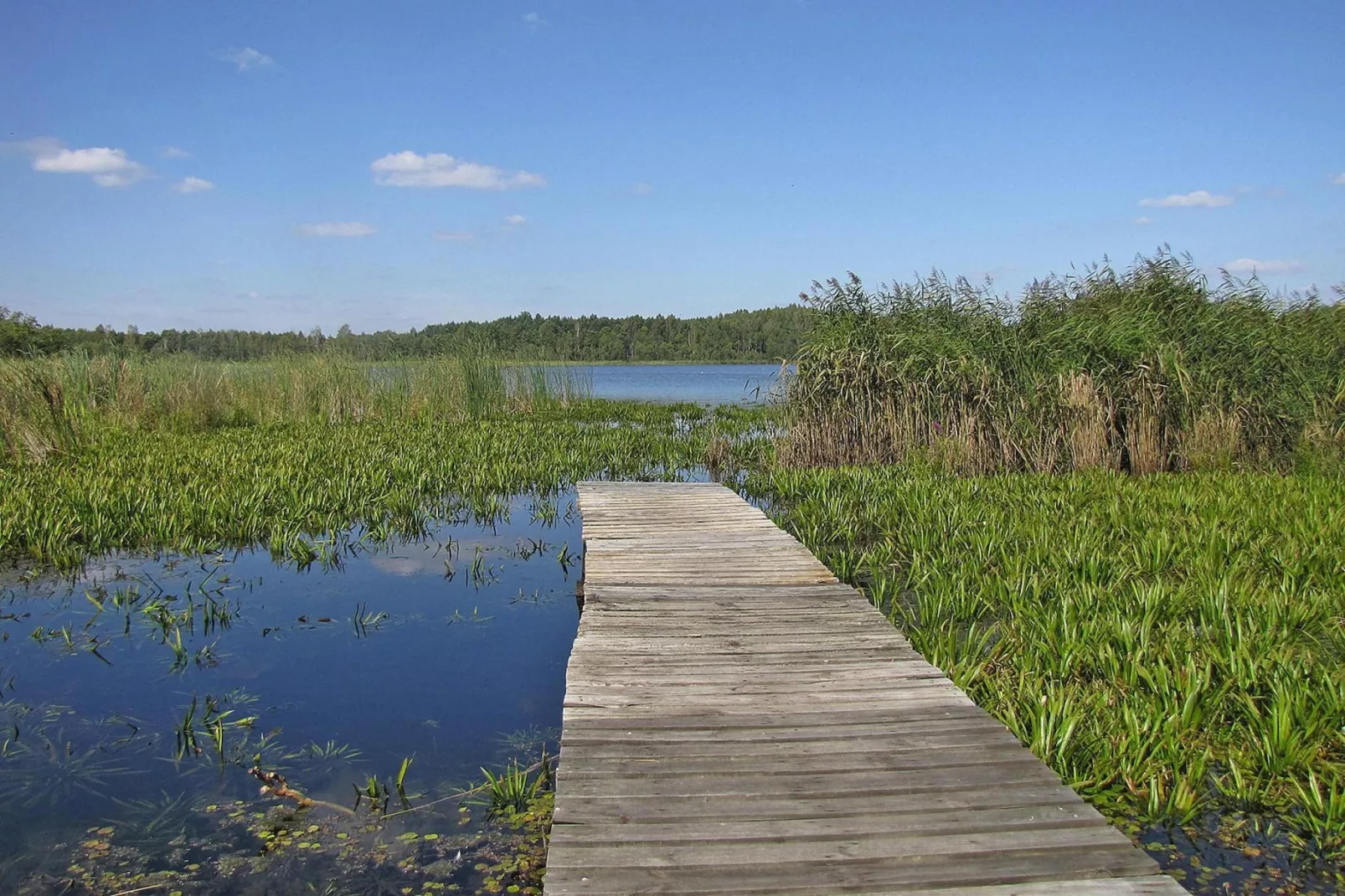 Holiday home Wilkasy-Gebieden zomer 5km