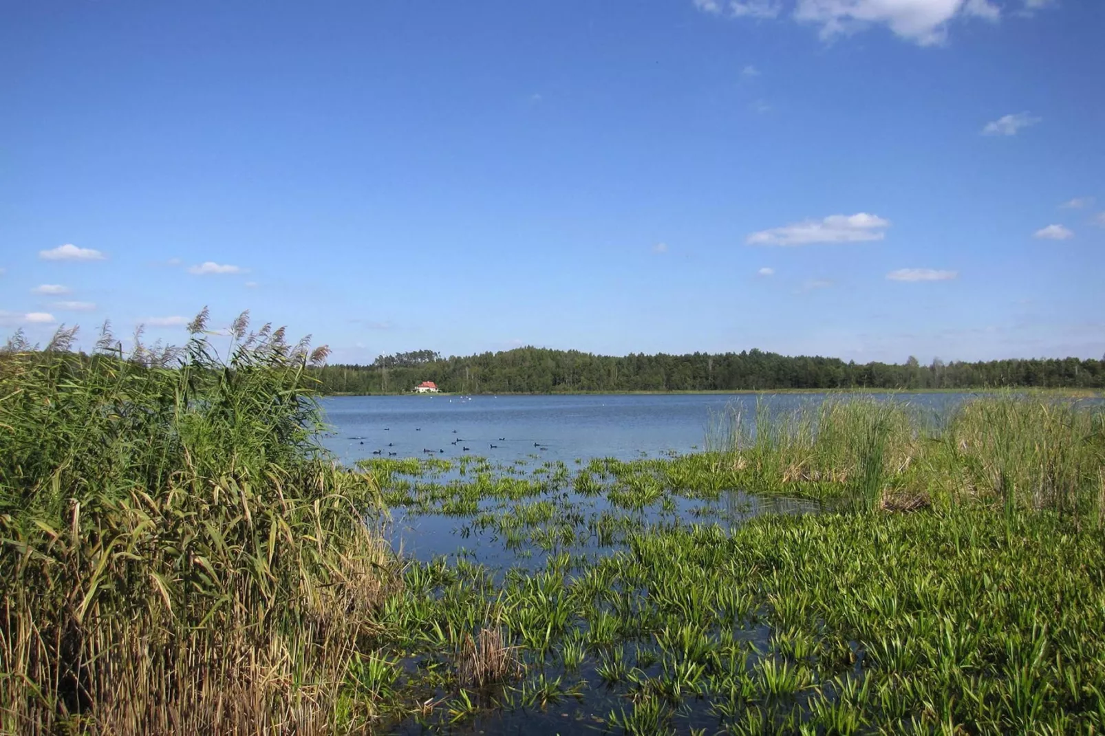 Holiday home Wilkasy-Gebieden zomer 5km
