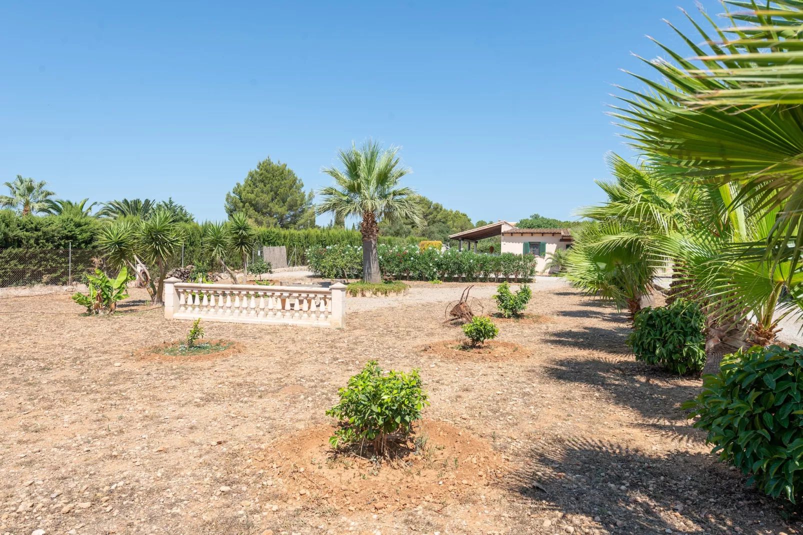 Finca Son Colom (finca Sun Club Home)-Image-tags.