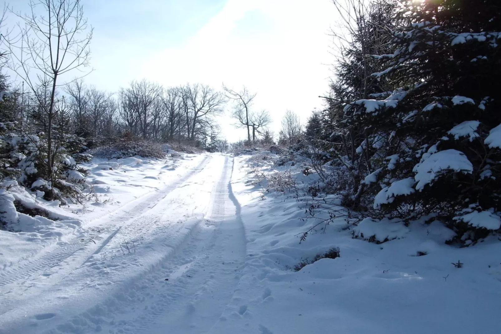 34662-Gebied winter 5km