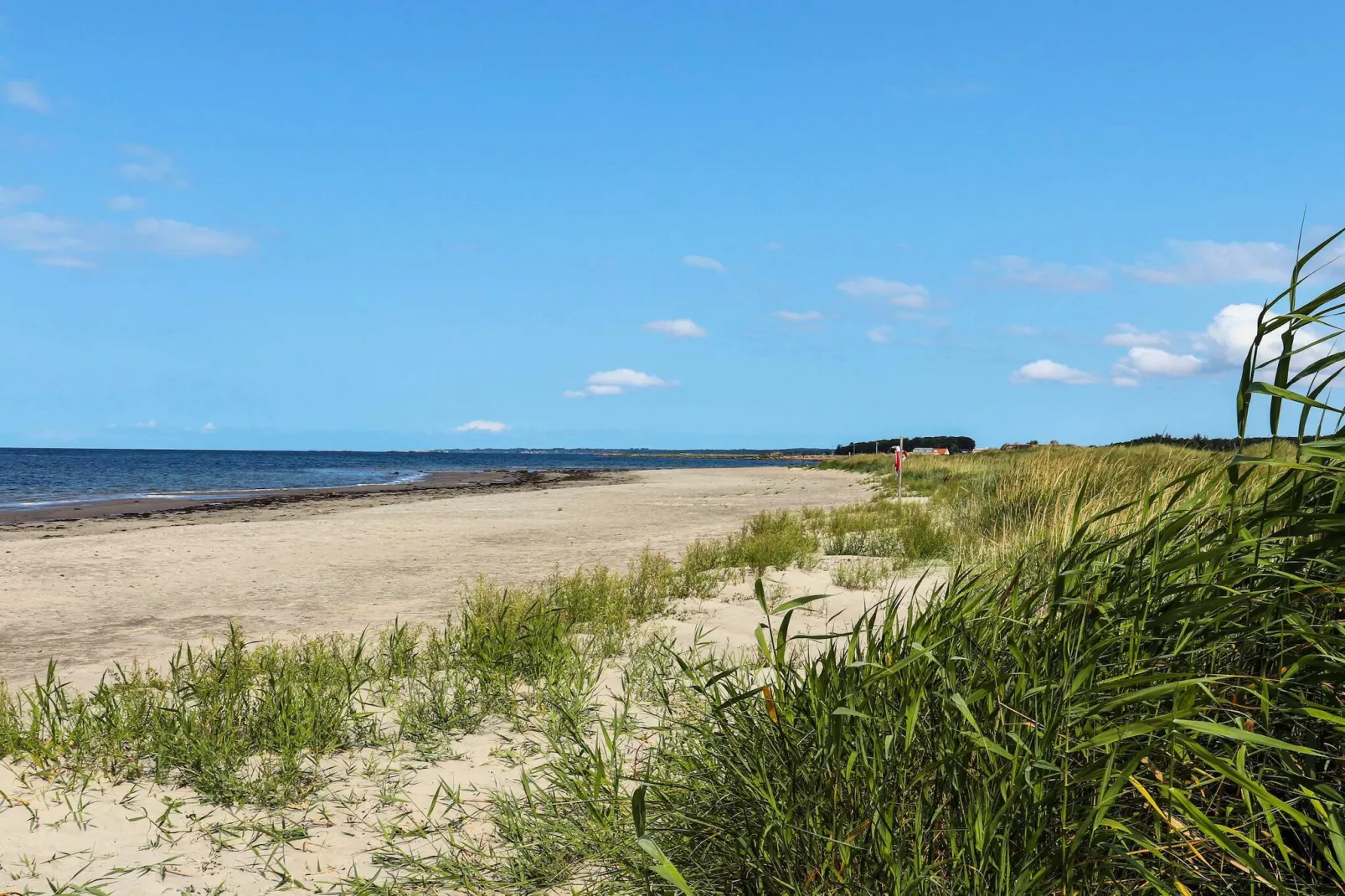 4 sterren vakantie huis in SKÅNE/VEJBYSTRAND-Niet-getagd