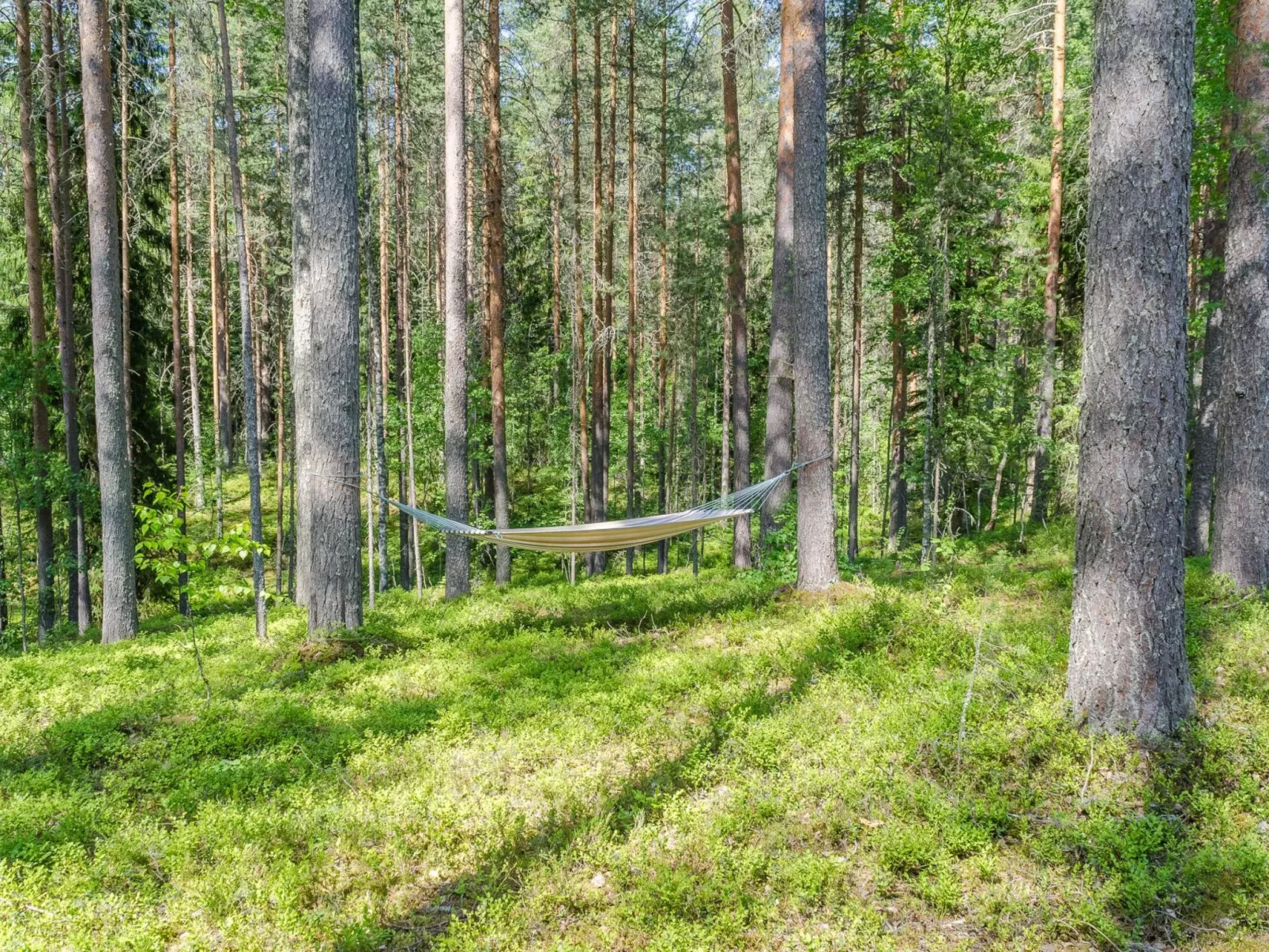 Pyöröpirtti-Buiten