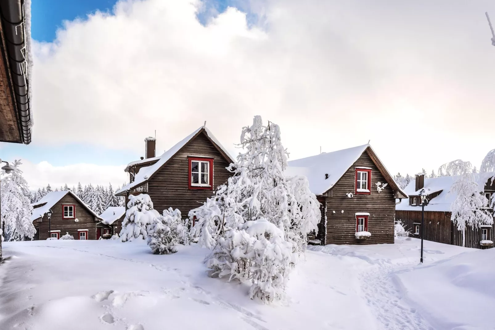 Ferienhaus Typ Premium Lodge Plus 4 Personen-Gebied winter 1km