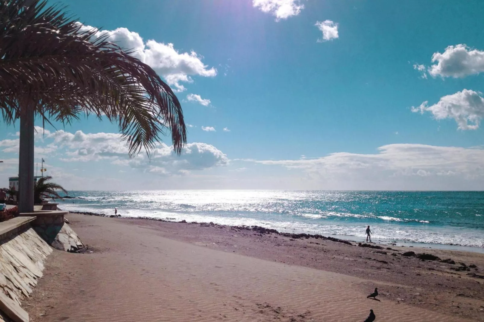 Apartamento de Playa Siesta 21 San Augustin - 2 Pax-Gebieden zomer 20km