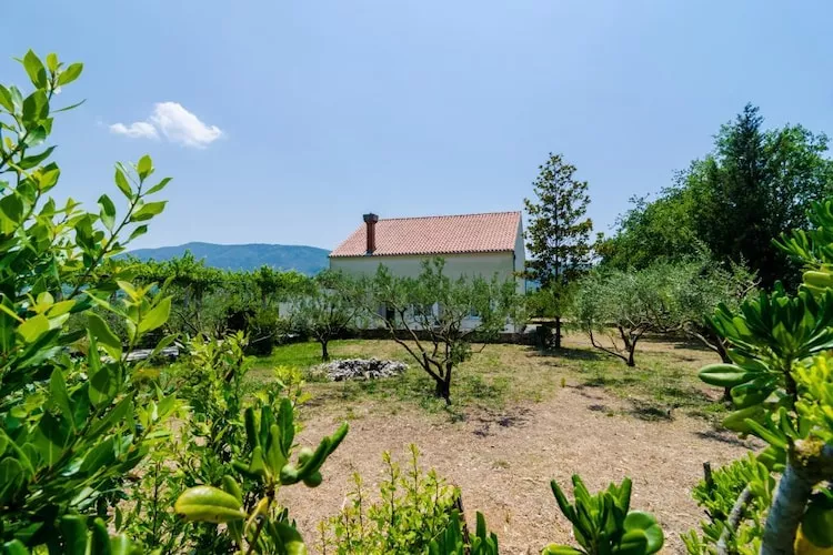Holiday Home Field of Olives - Two Bedroom Holiday Home with Terrace-Uitzicht