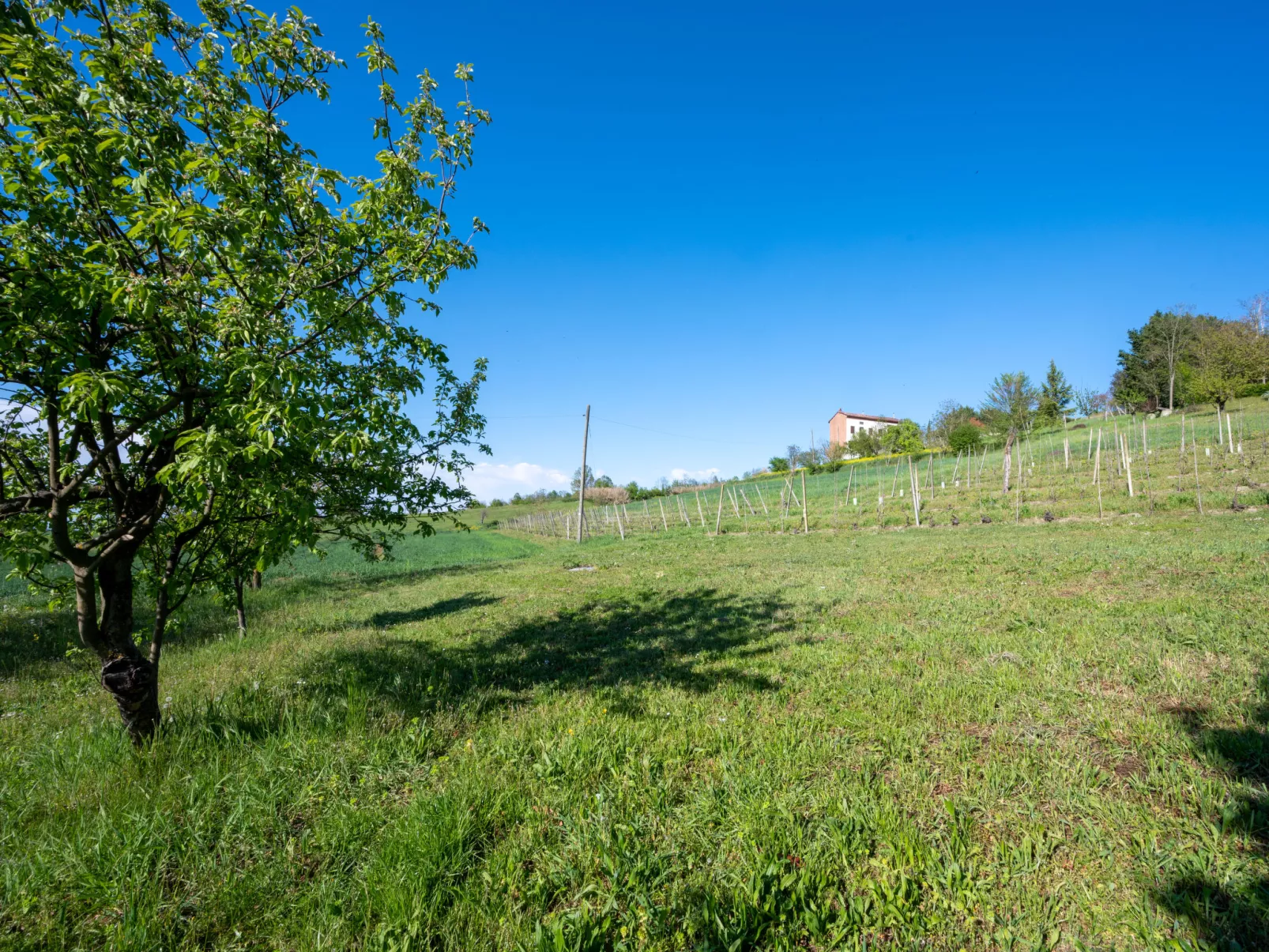 Raggio di Sole-Buiten