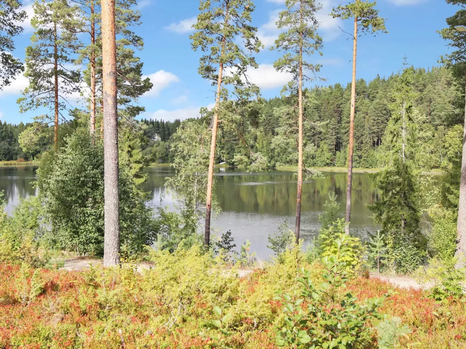 Vuokatin loiste 9 a1-Buiten